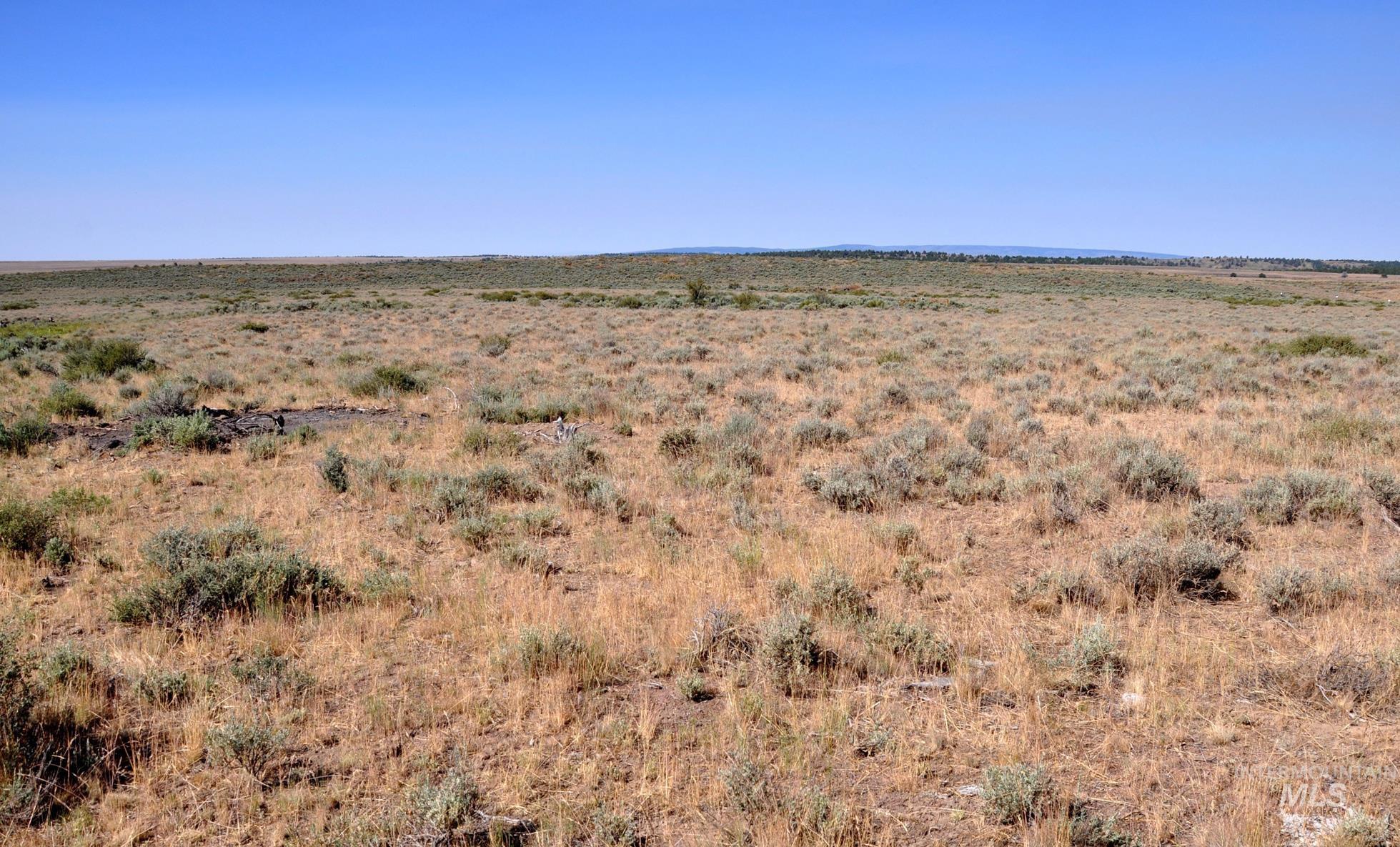 Tbd Mud Flat Road Property Photo 7