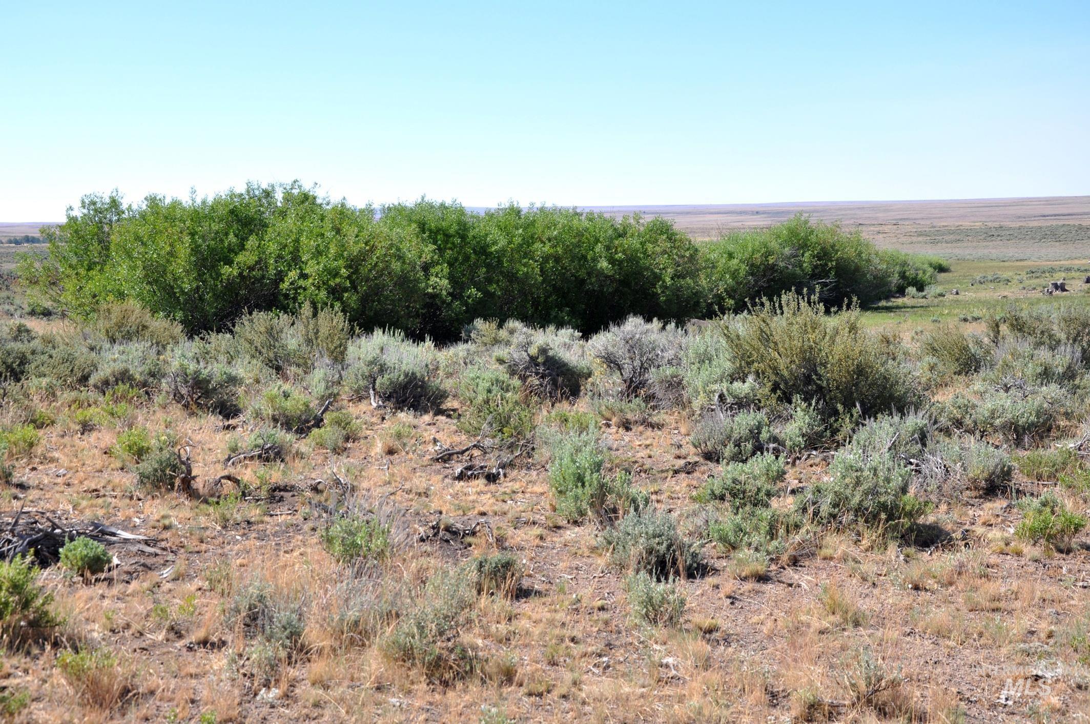 Tbd Mud Flat Road Property Photo 9