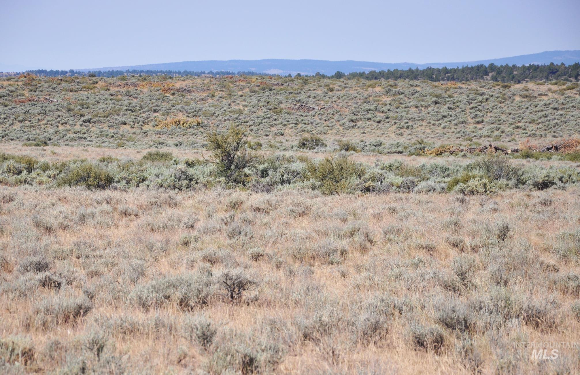 Tbd Mud Flat Road Property Photo 10