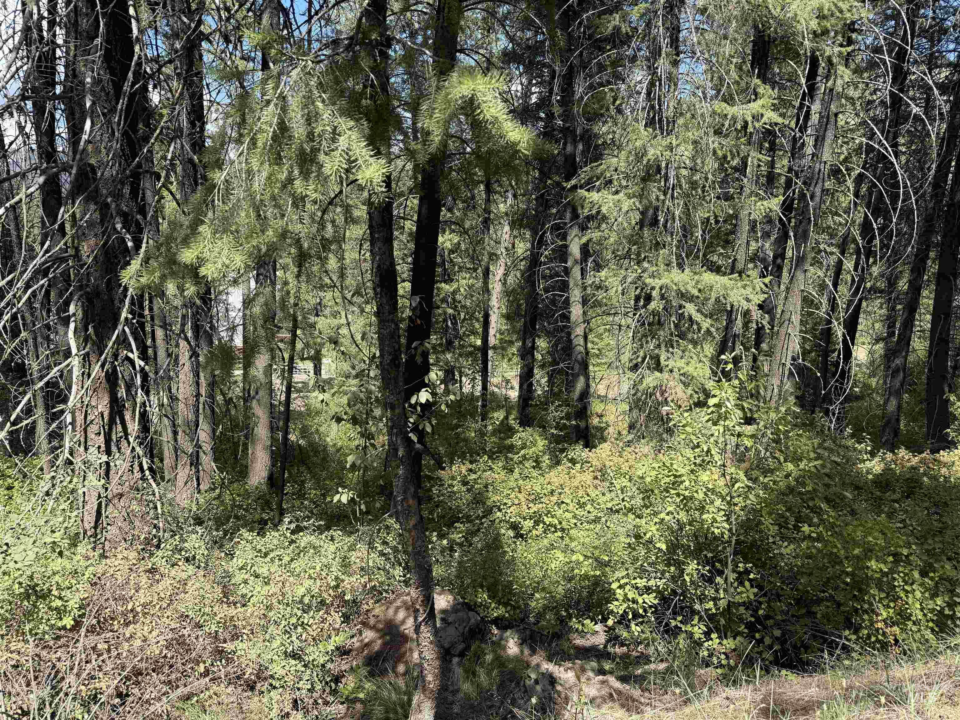 Tbd Fruitvale-glendale Rd Property Photo 2