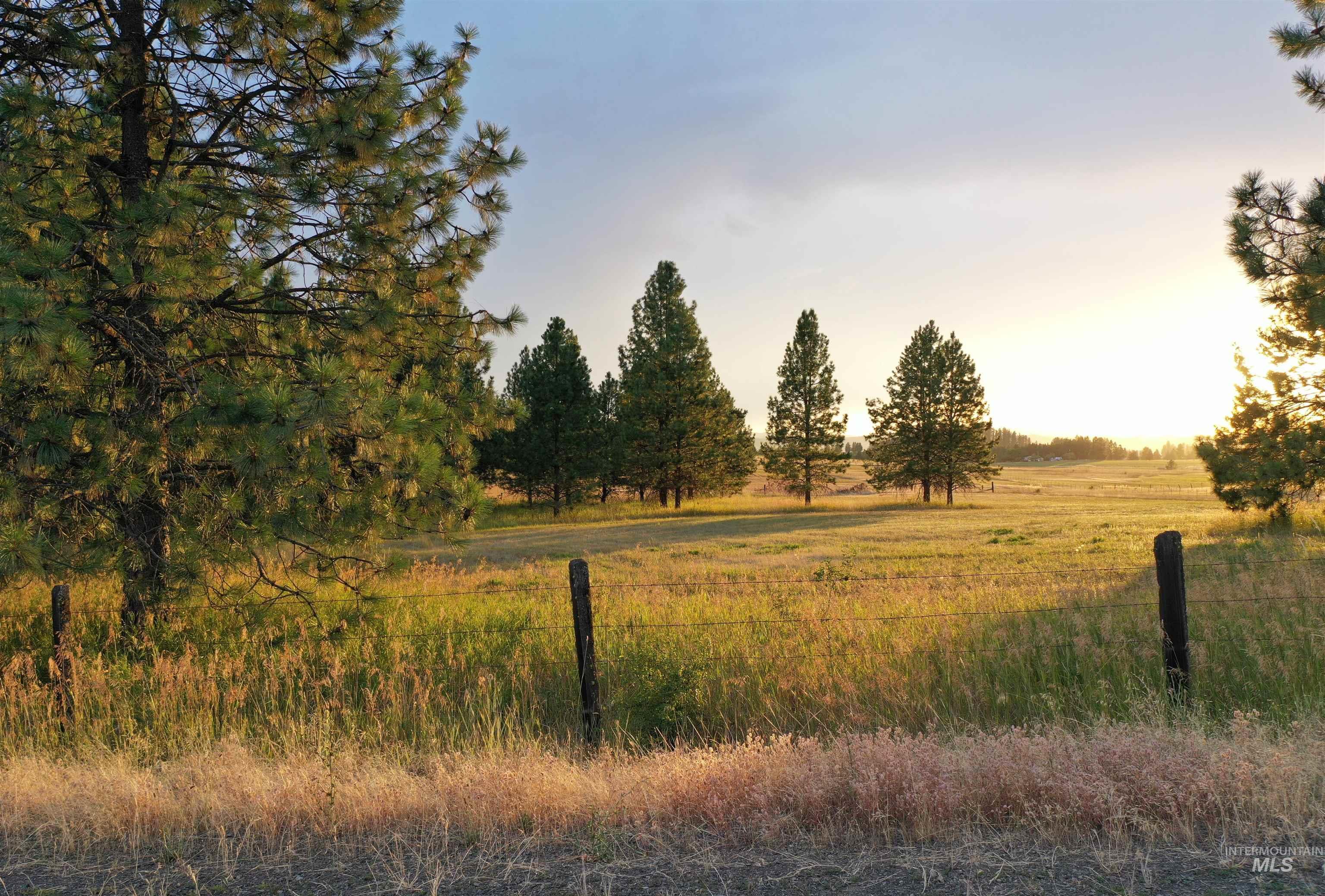 Tbd Ulmer Rd Property Photo 3