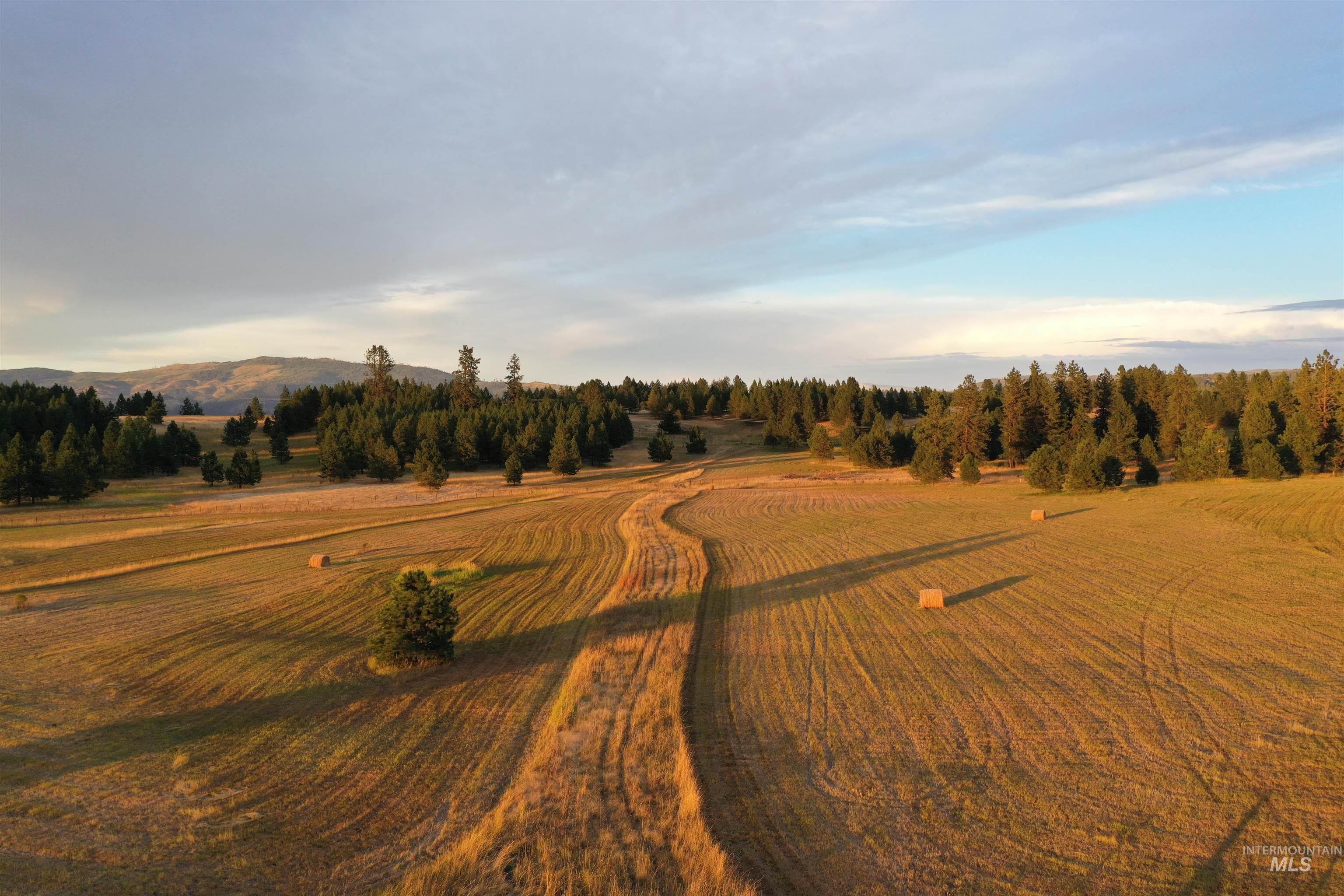 Tbd Ulmer Rd Property Photo 4