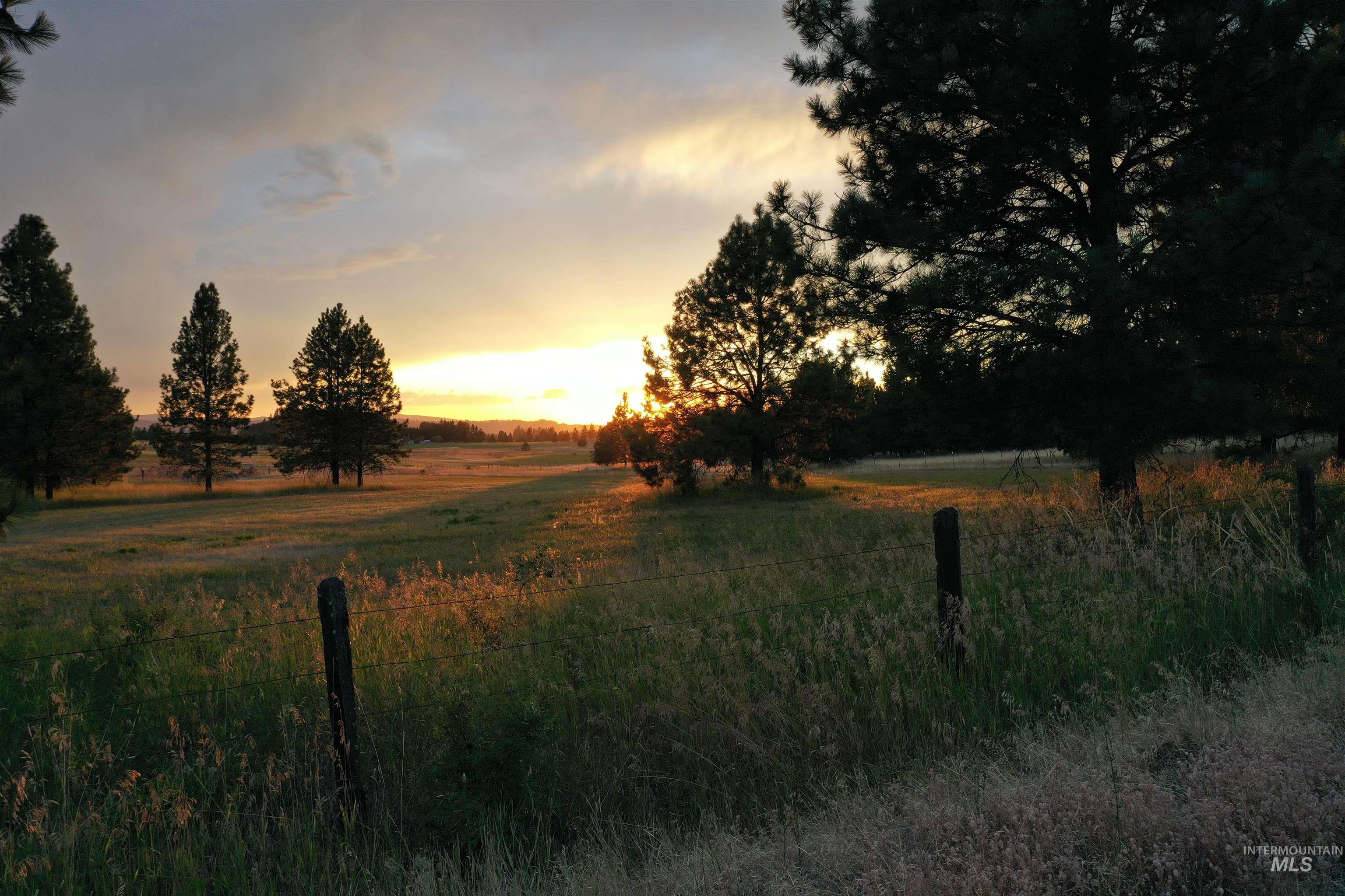 Tbd Ulmer Rd Property Photo 5