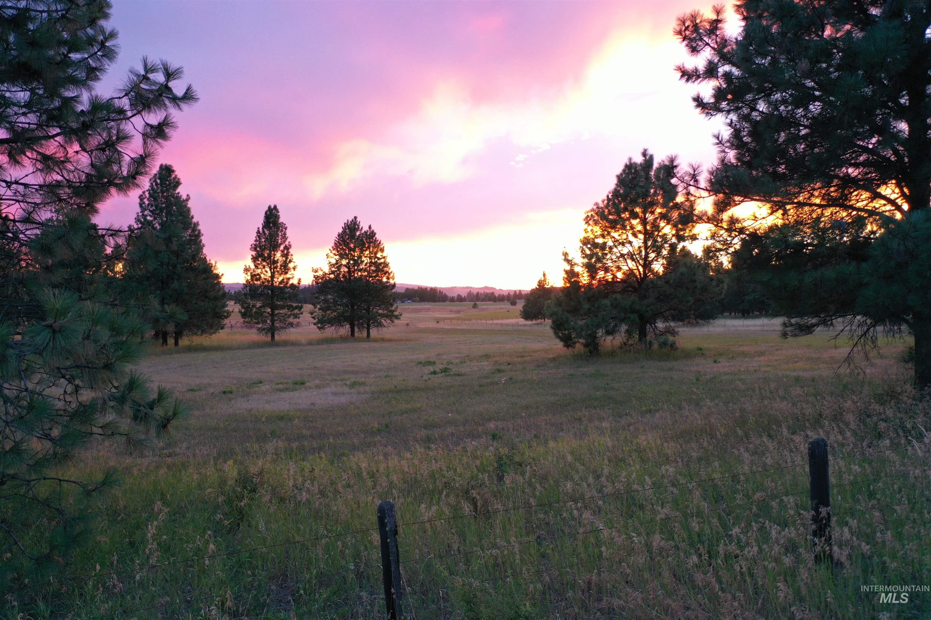 Tbd Ulmer Rd Property Photo 7