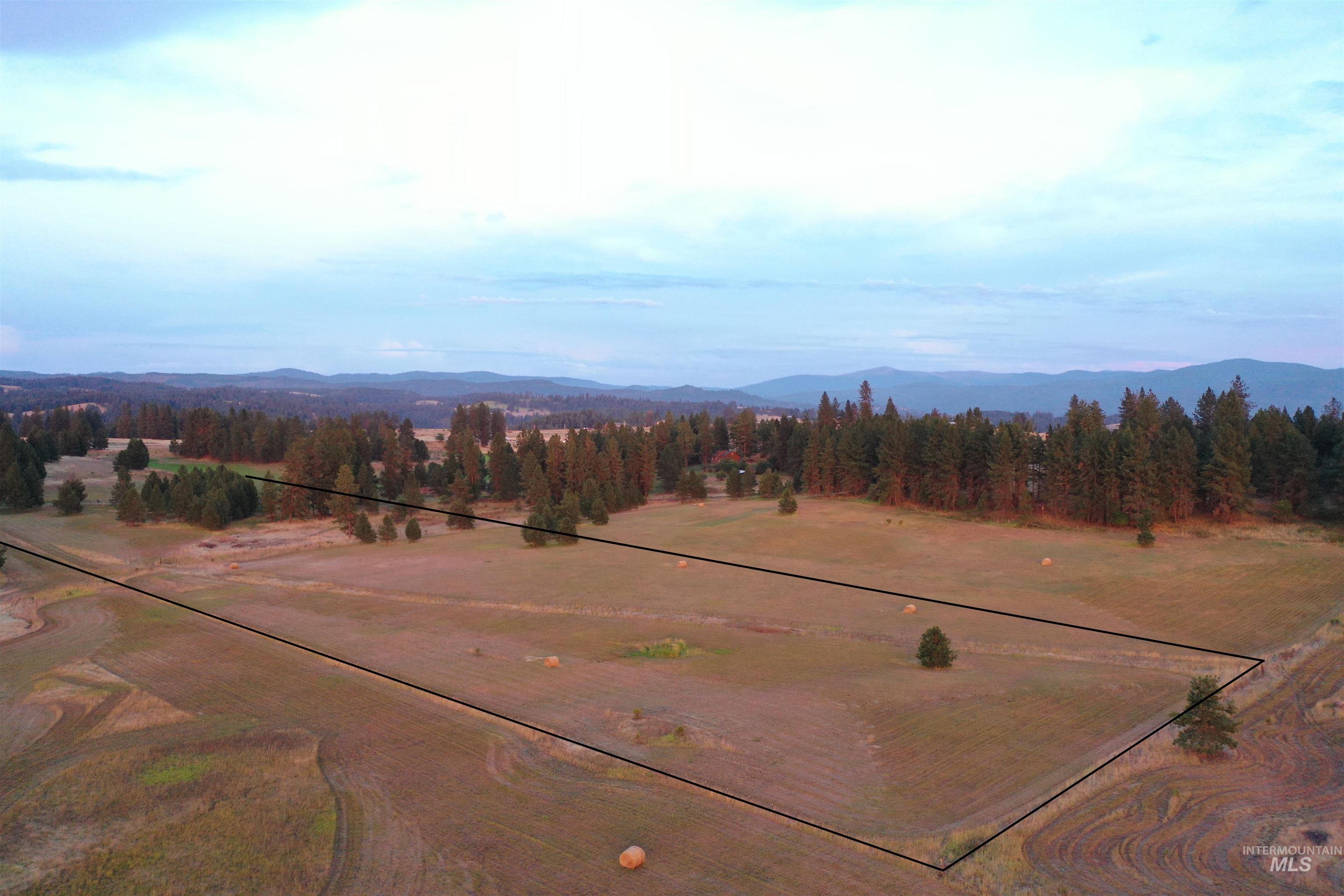 Tbd Ulmer Rd Property Photo 9
