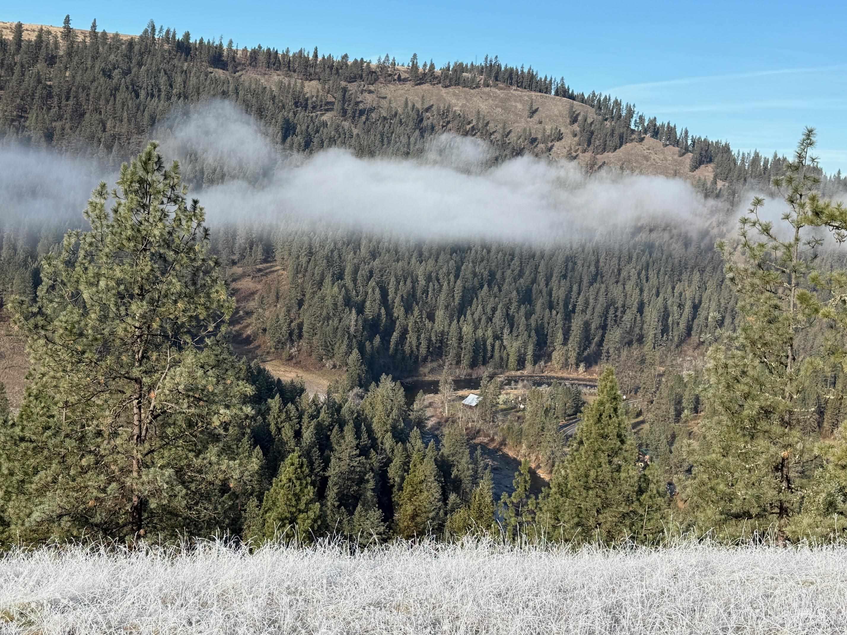 113 Sweetwater Dr Property Photo 32