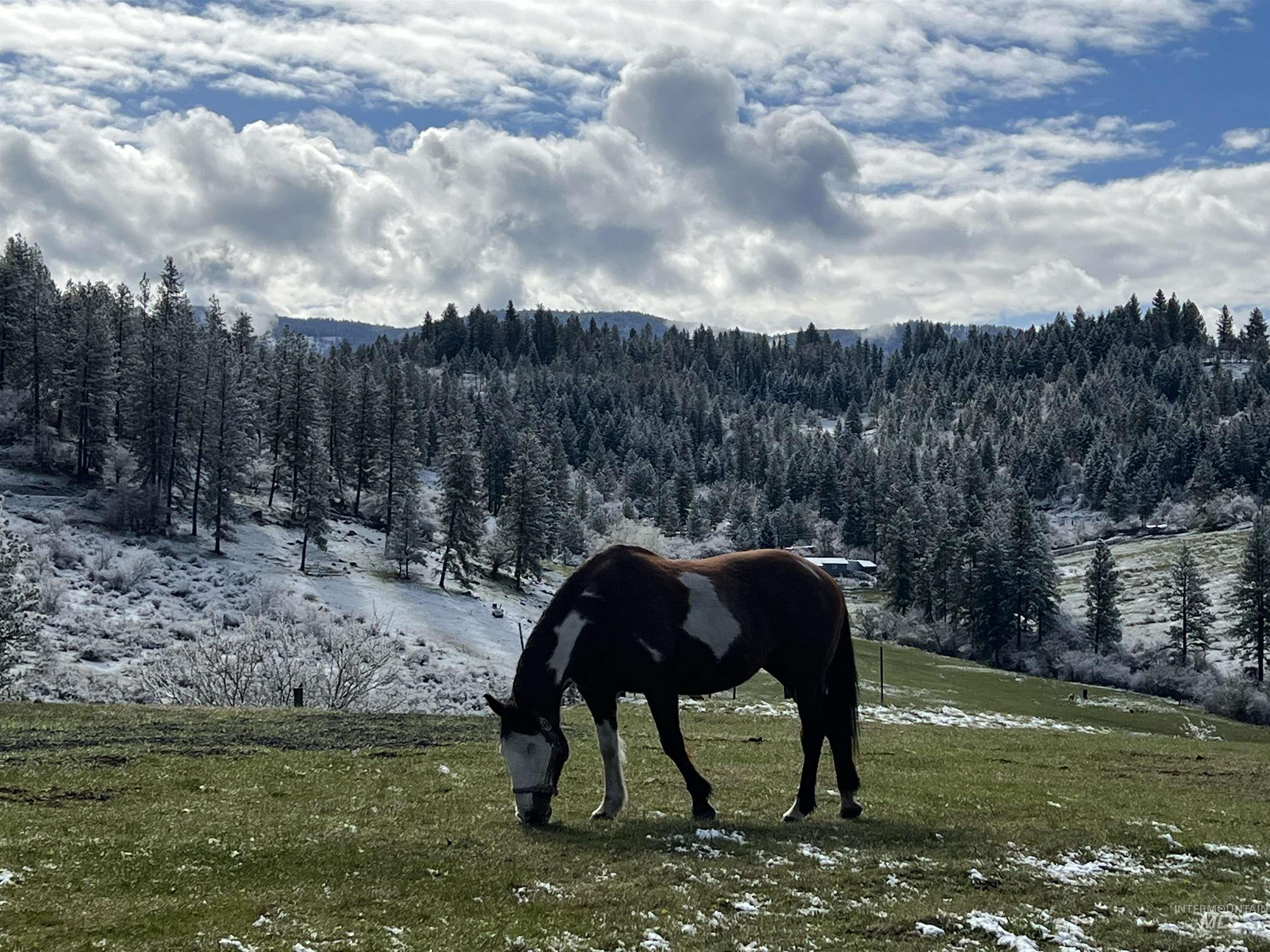 113 Sweetwater Dr Property Photo 33