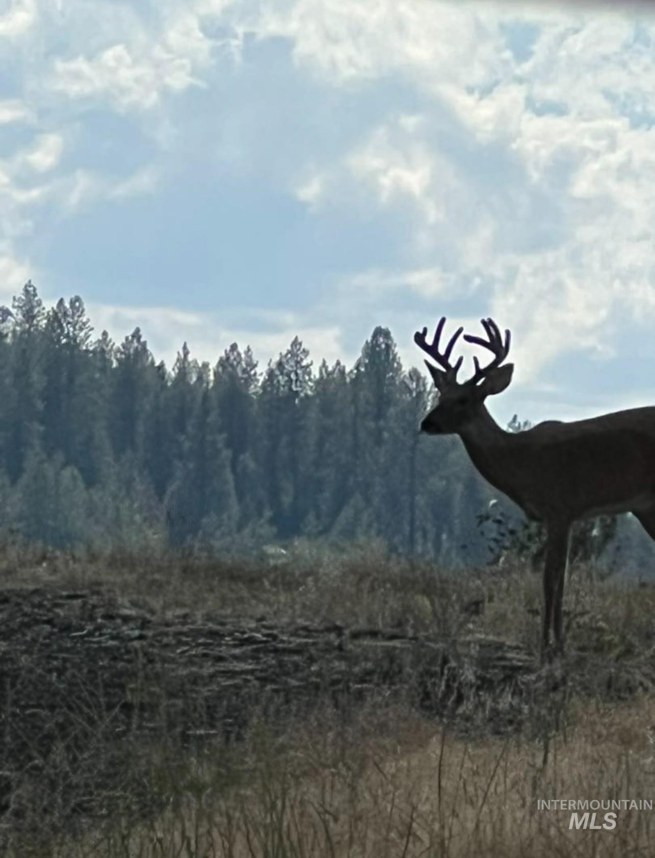 113 Sweetwater Dr Property Photo 34