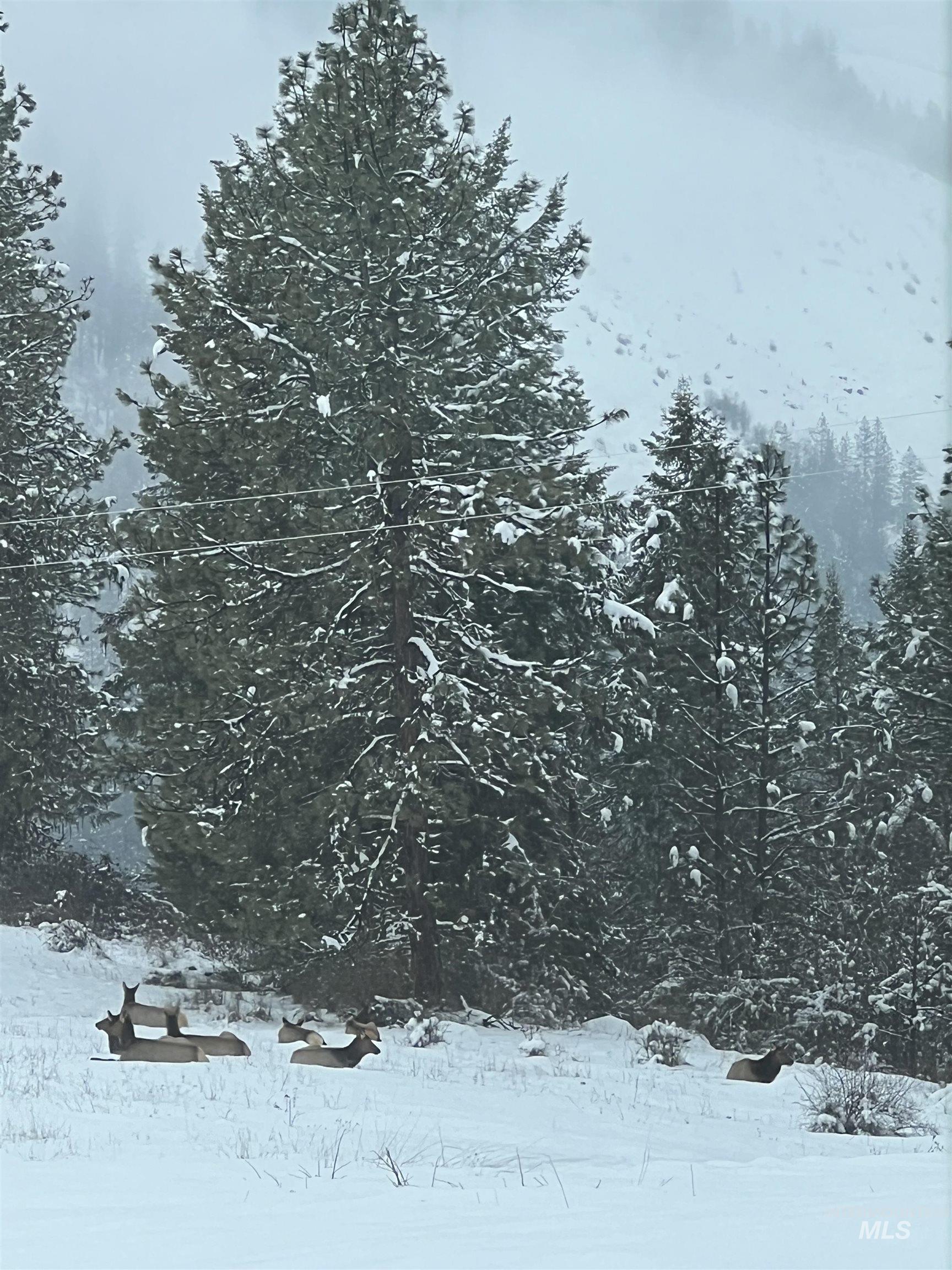 113 Sweetwater Dr Property Photo 35