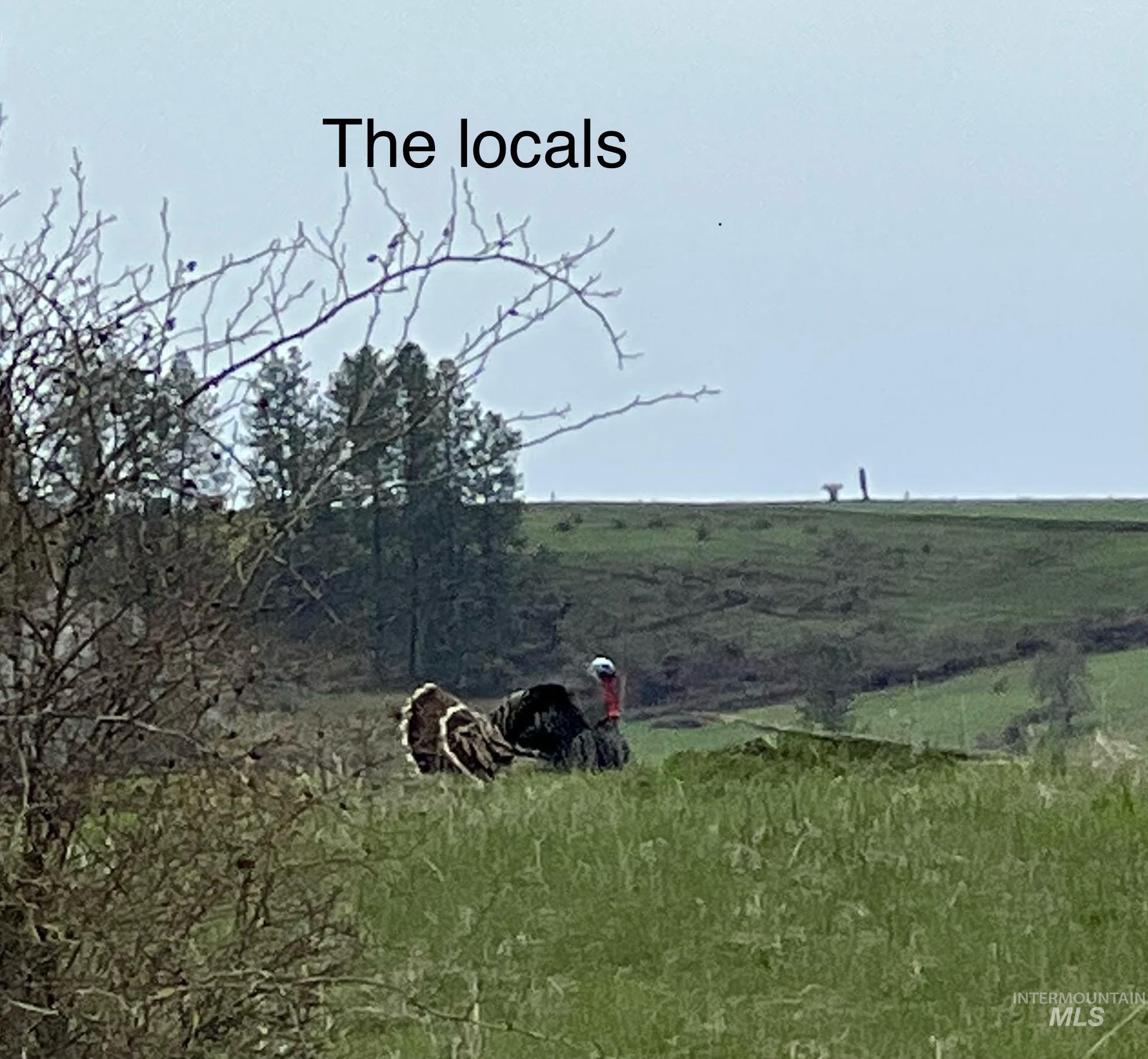 113 Sweetwater Dr Property Photo 36