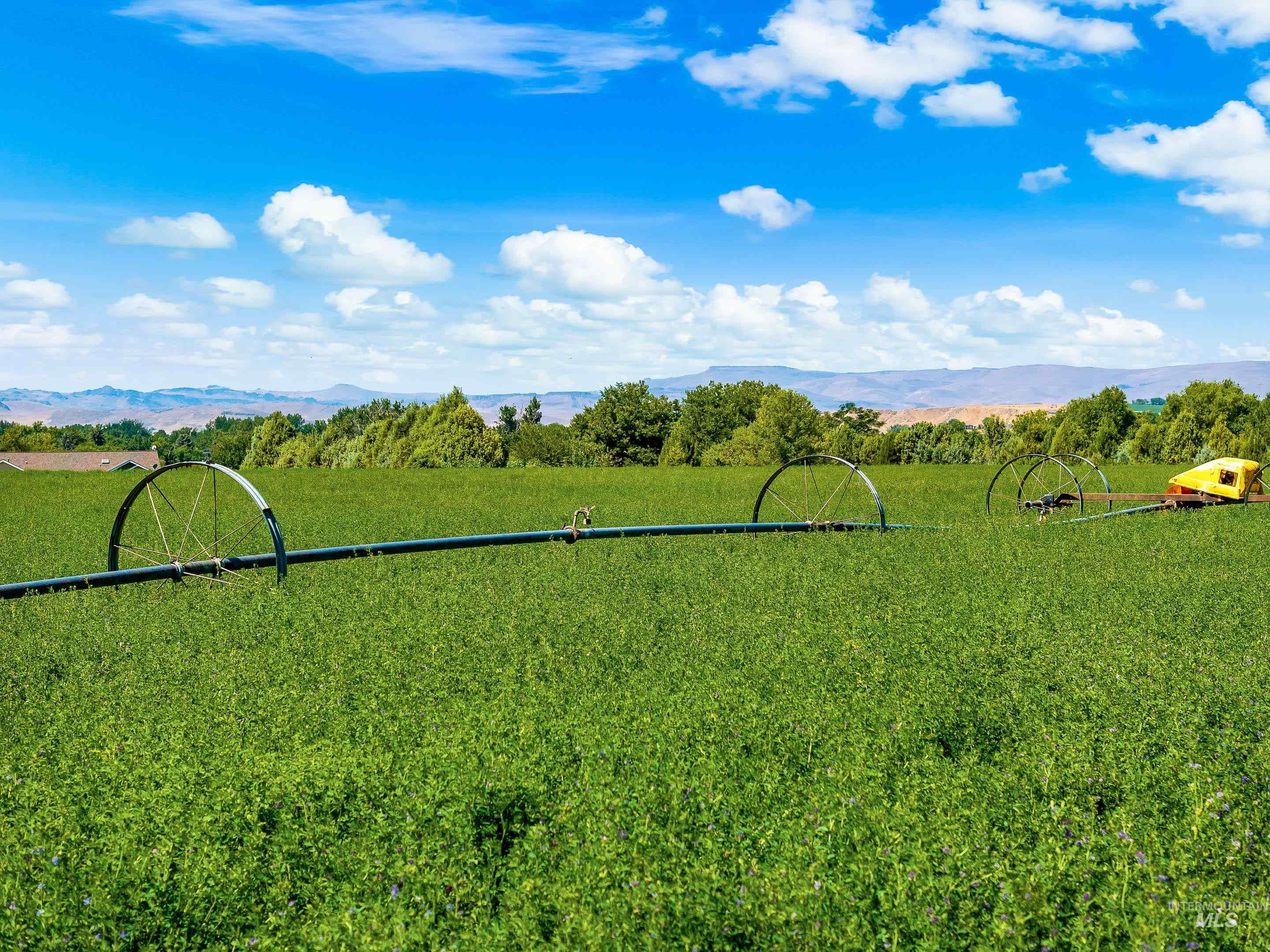 17700 Fargo Rd Property Photo 11