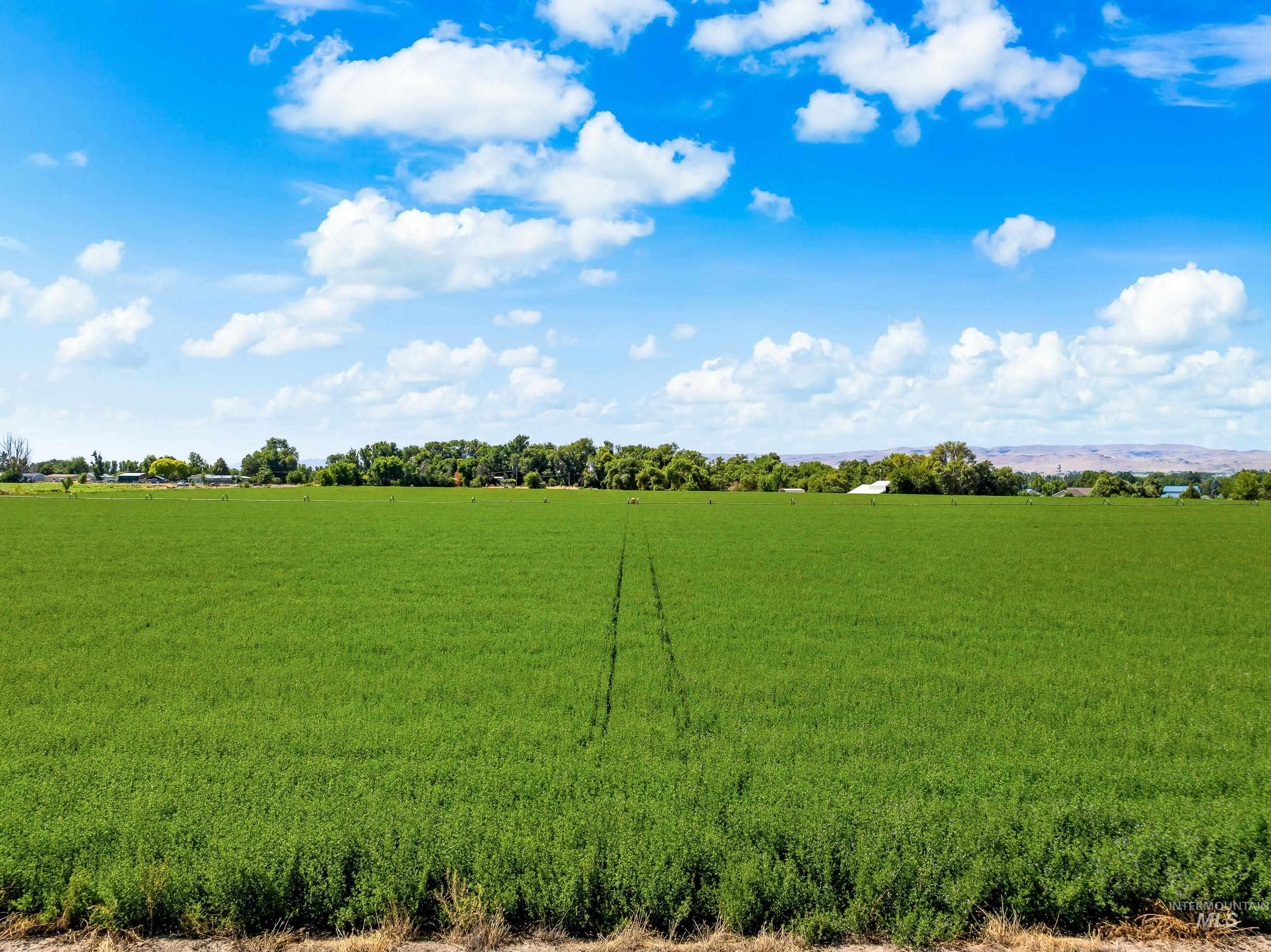 17700 Fargo Rd Property Photo 13