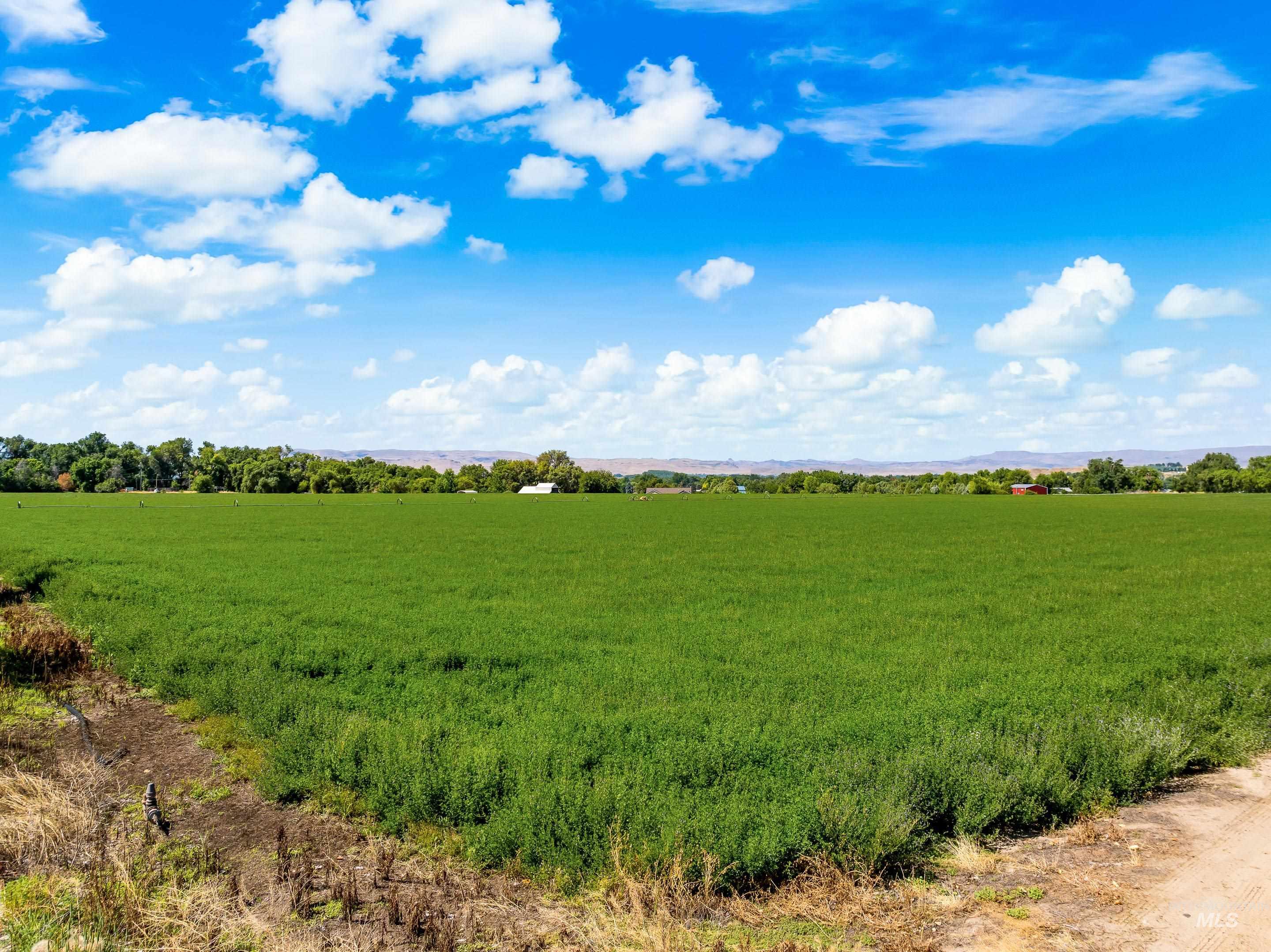 17700 Fargo Rd Property Photo 15