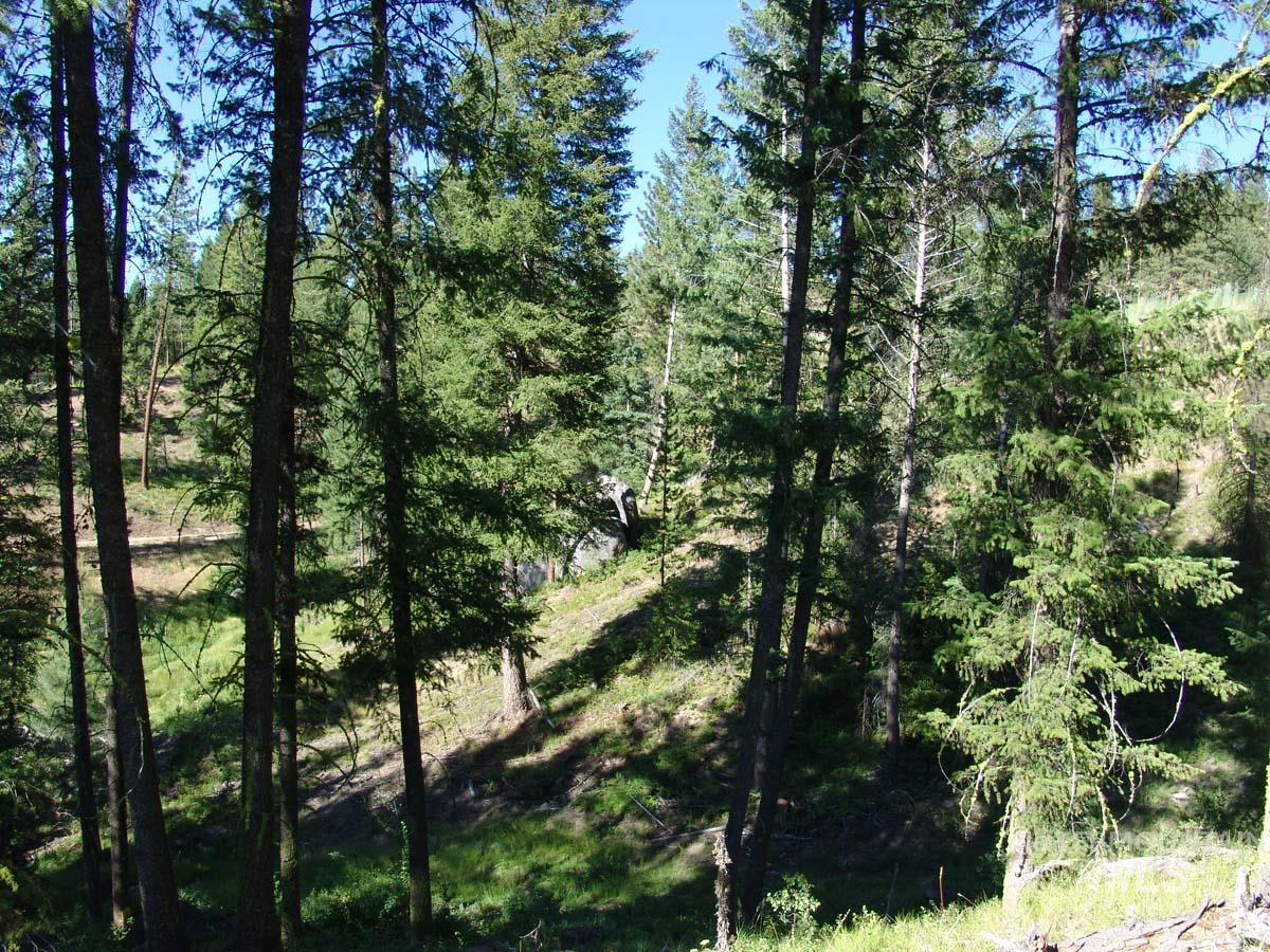 L1 B2 San Ignacio Way Property Photo 4
