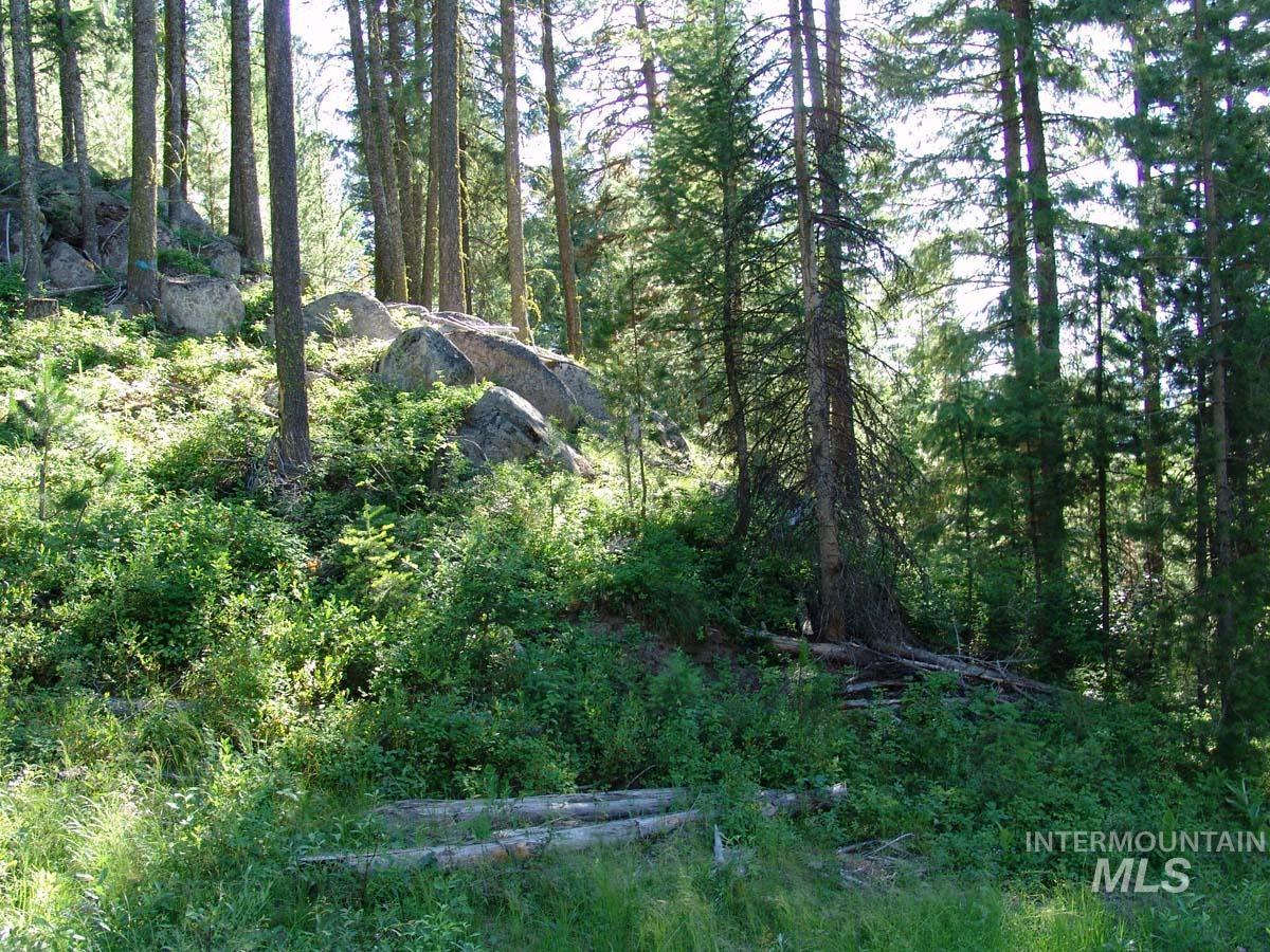 L1 B2 San Ignacio Way Property Photo 6