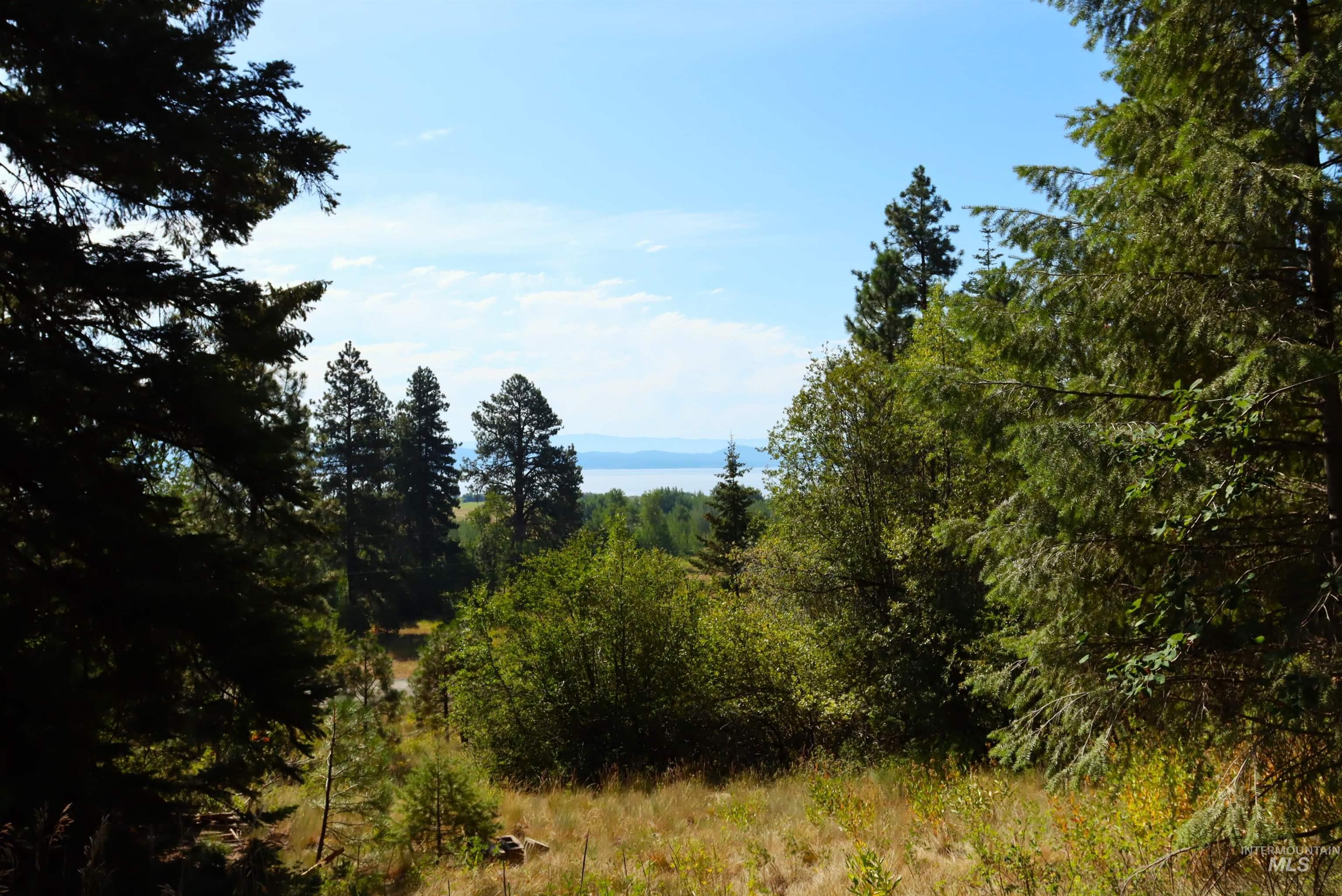 5 Tamarack Trail Property Photo 1