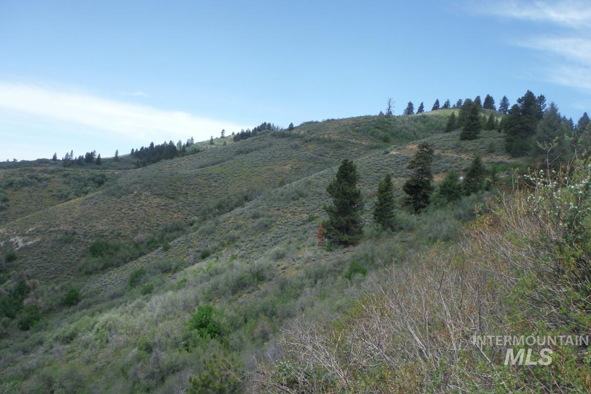 Tbd Boise Ridge Road Property Photo 3
