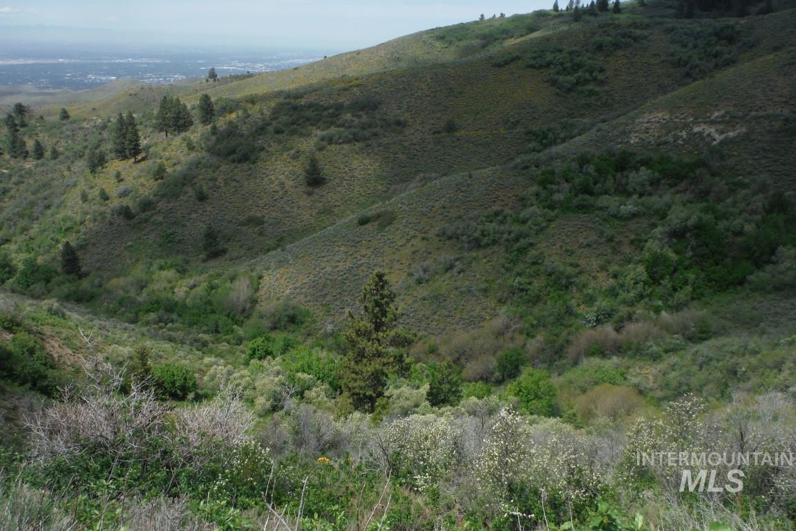 Tbd Boise Ridge Road Property Photo 7