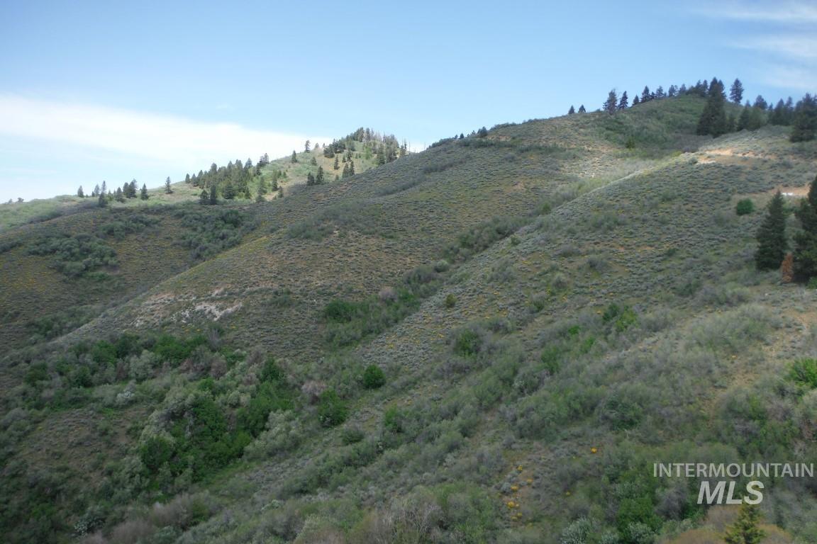 Tbd Boise Ridge Road Property Photo 11