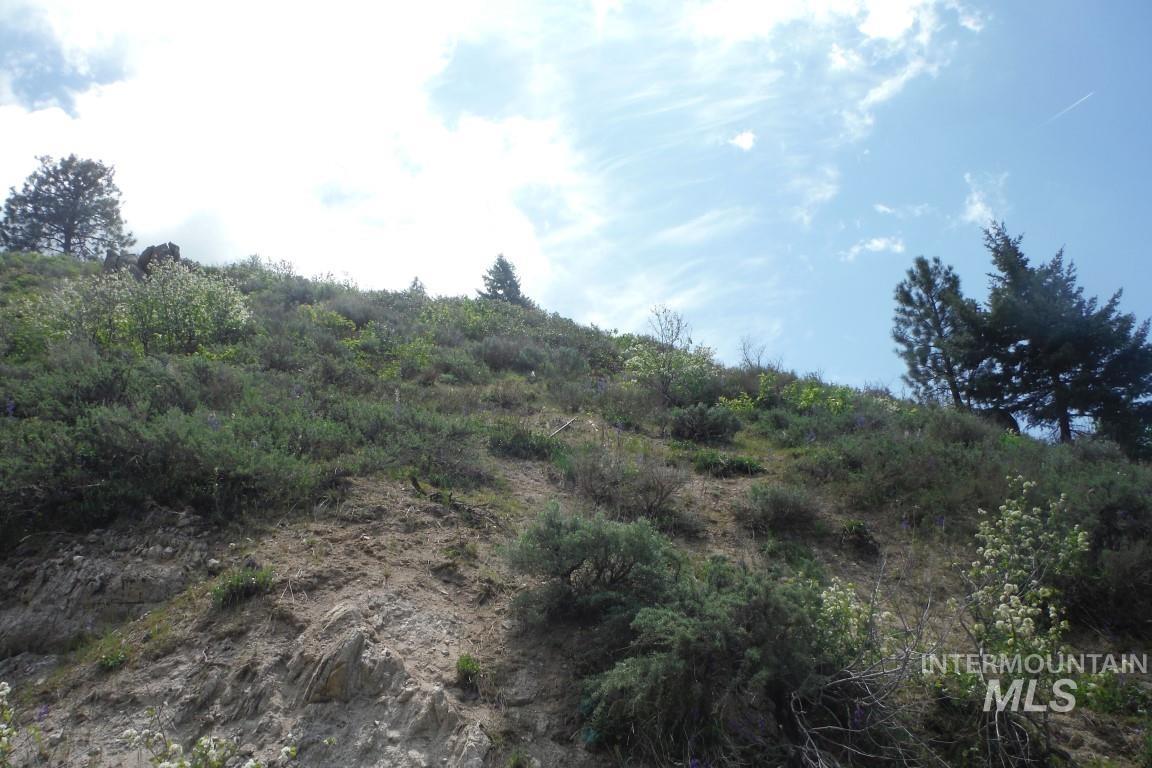 Tbd Boise Ridge Road Property Photo 12