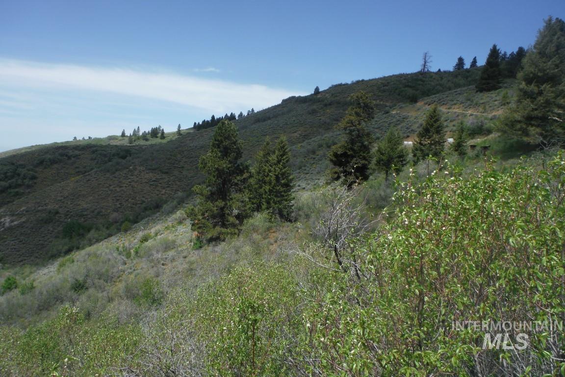 Tbd Boise Ridge Road Property Photo 13
