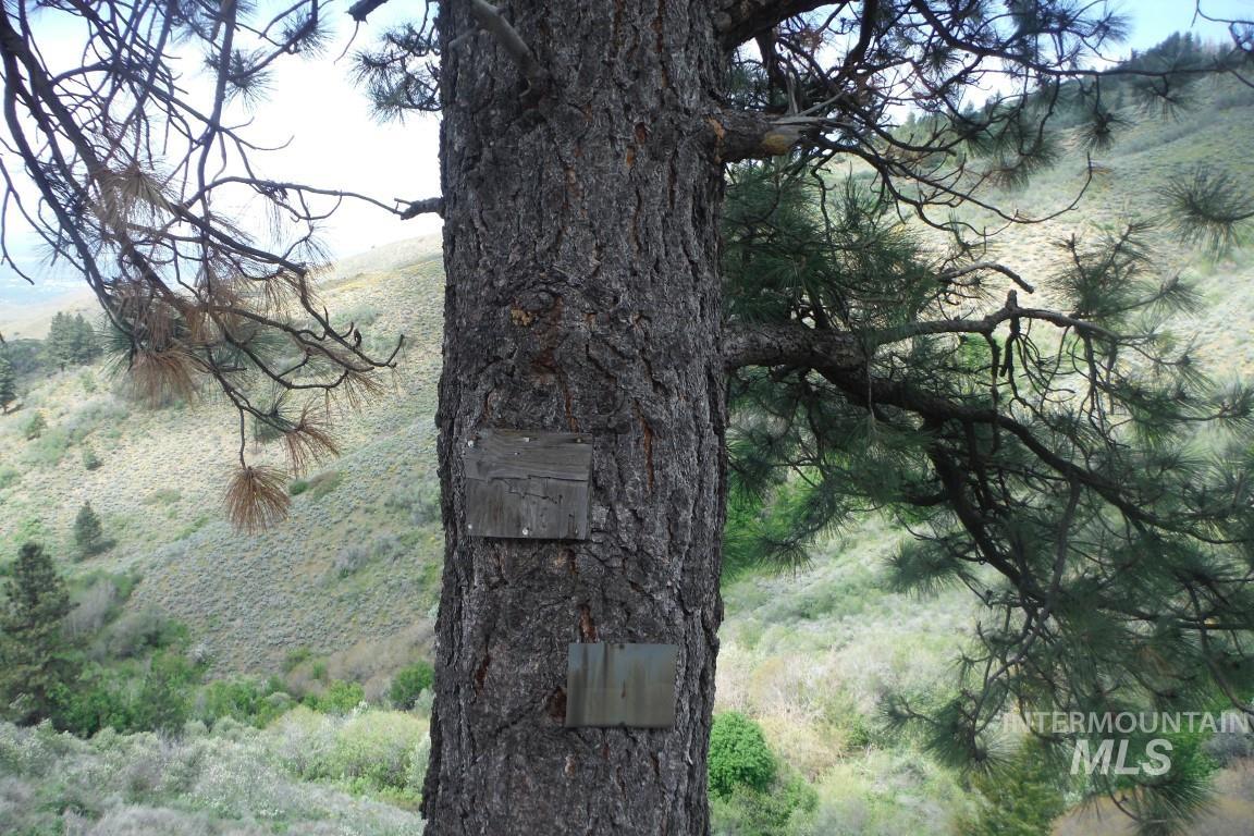 Tbd Boise Ridge Road Property Photo 16