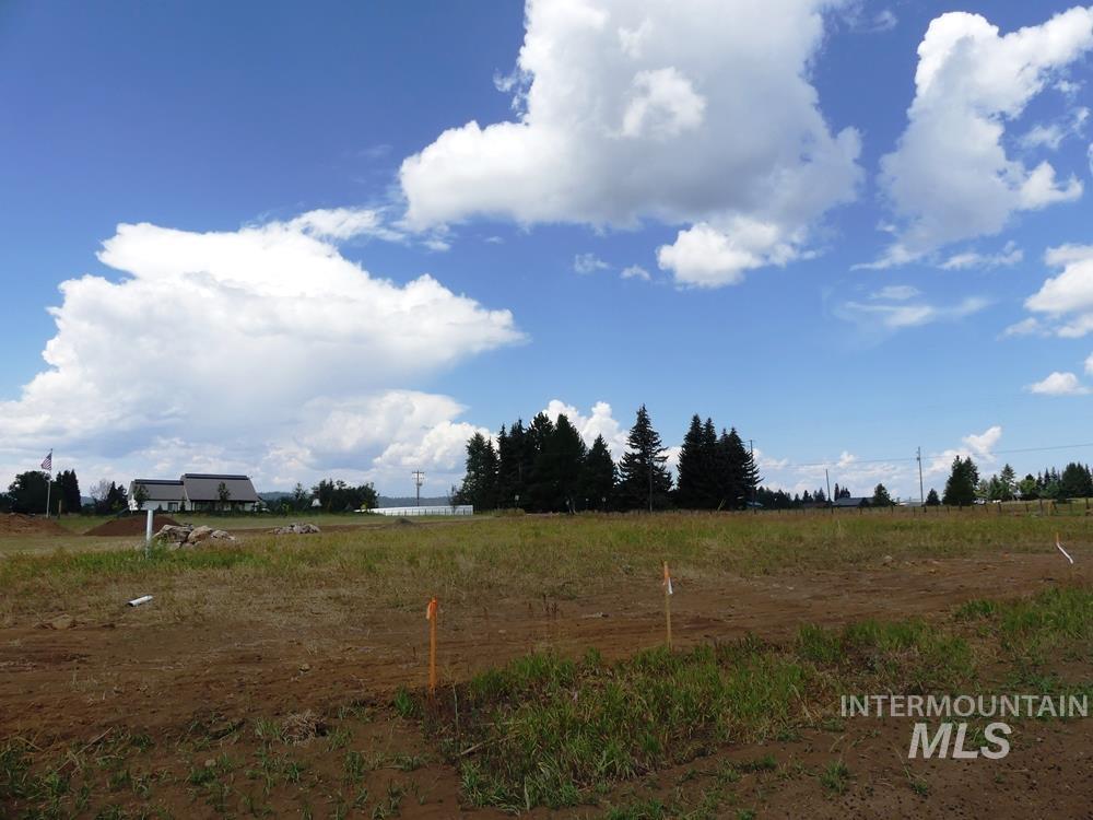 Lot 1 Springer Court Property Photo 6