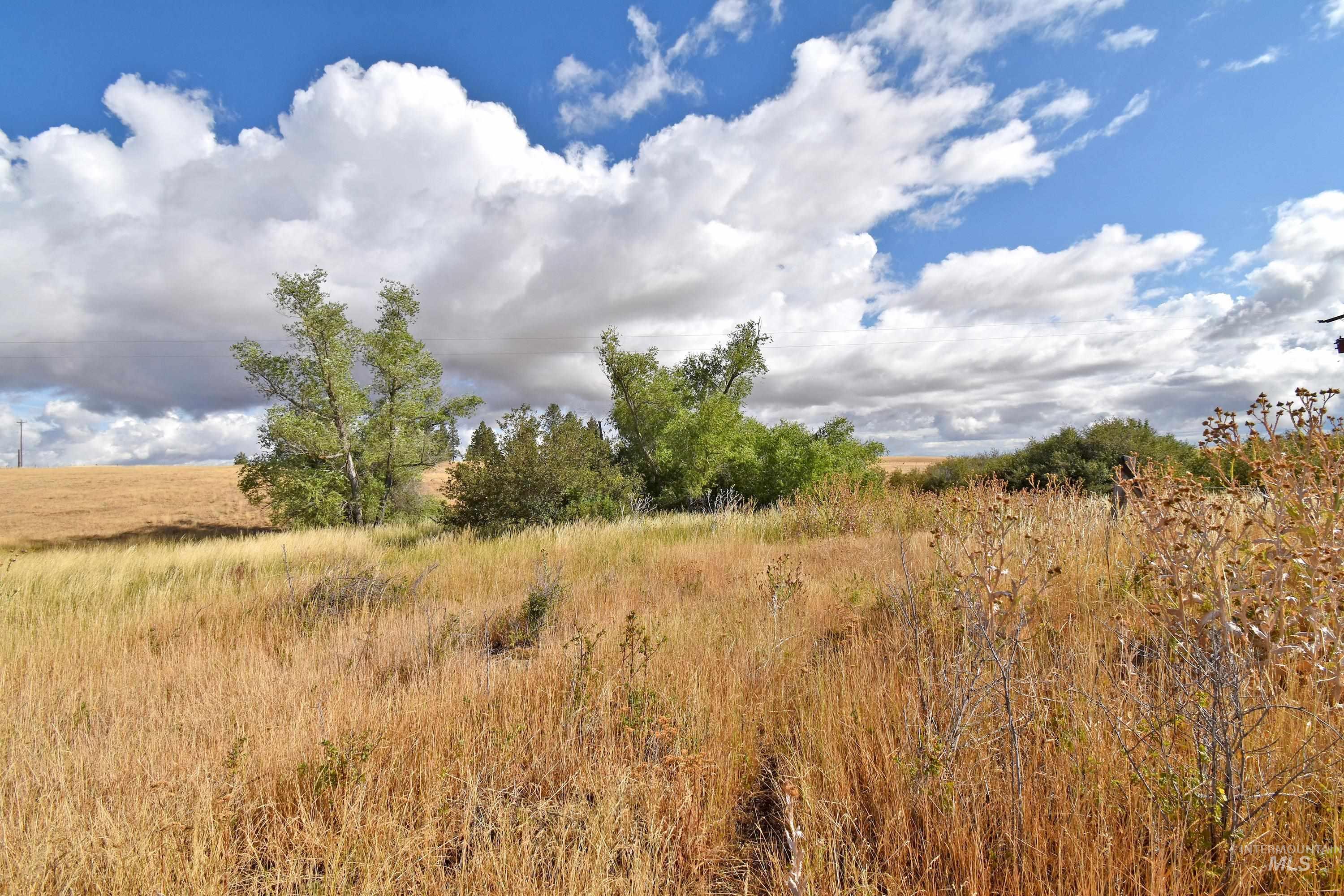 Boyd Lane Property Photo 6