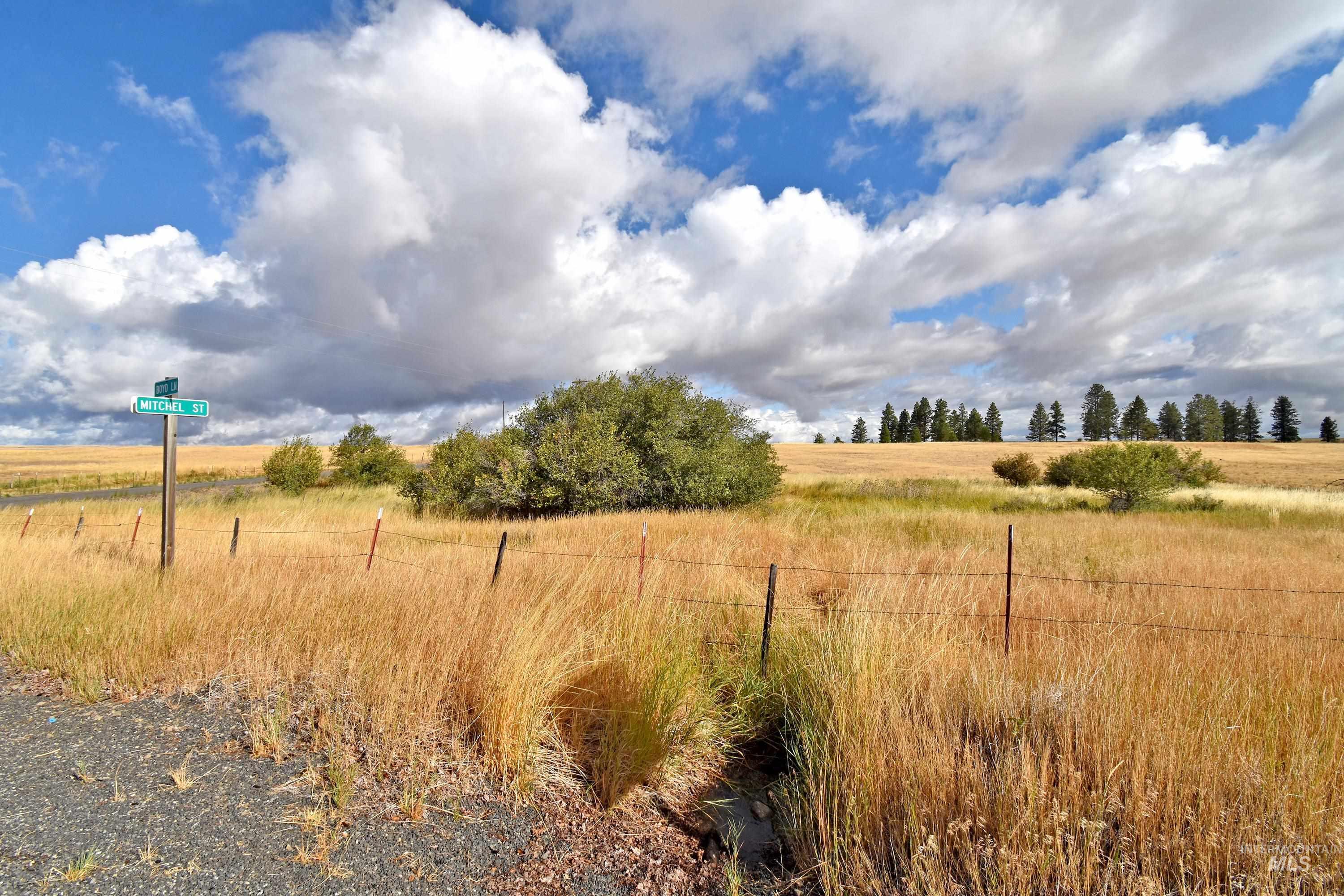 Boyd Lane Property Photo 8