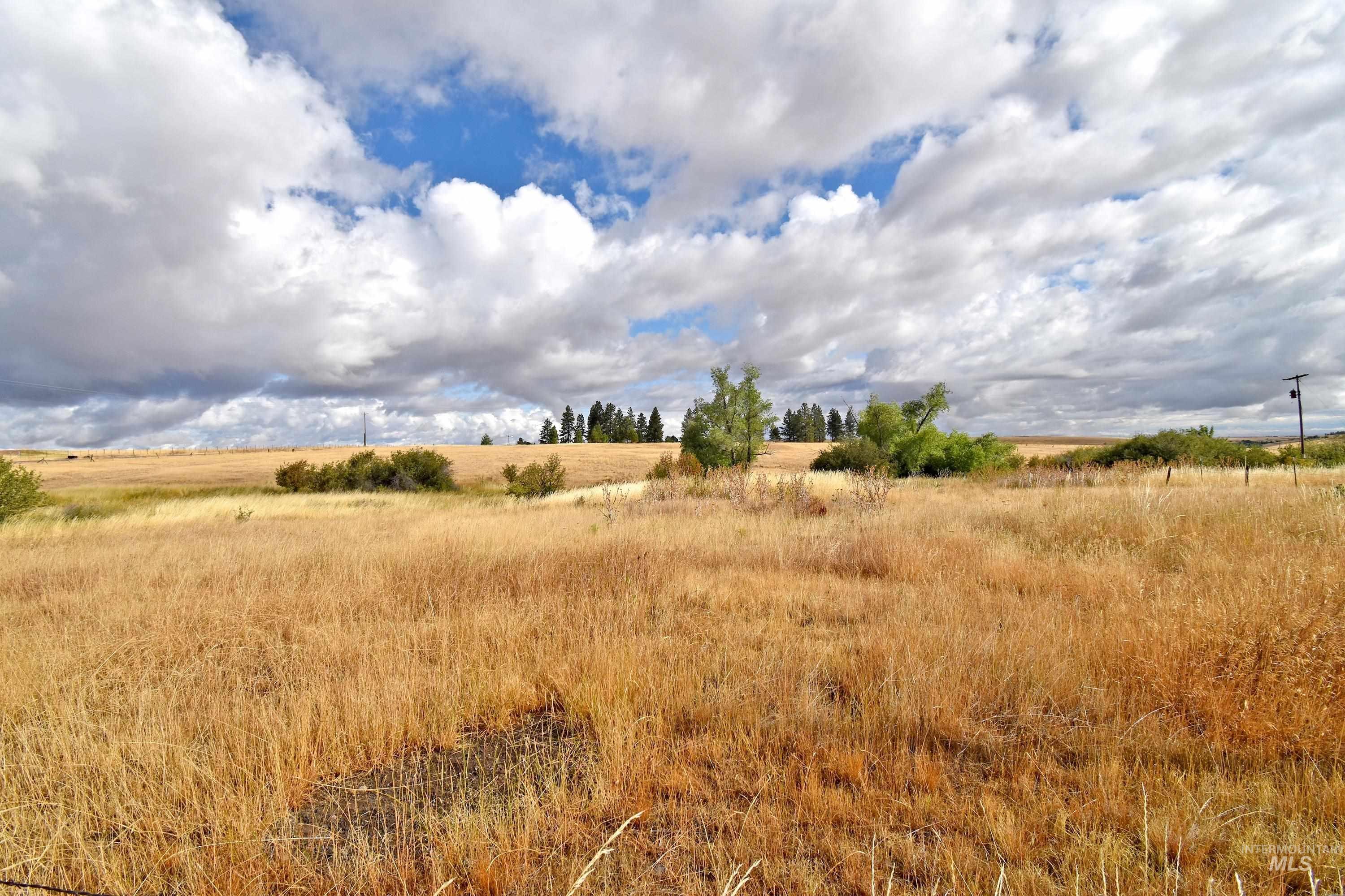 Boyd Lane Property Photo 11