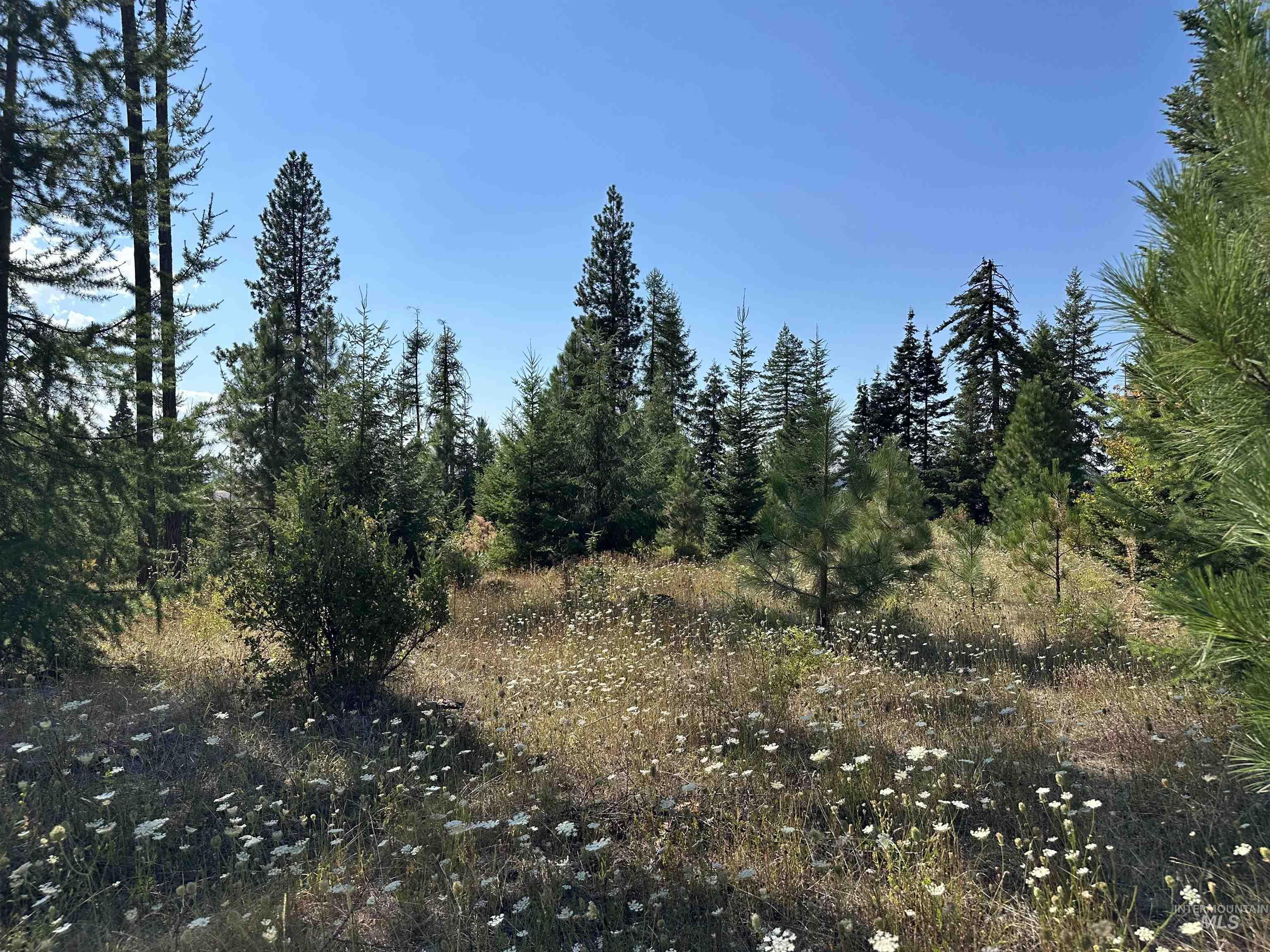 Parcel 1 Peaceful Valley Property Photo 9