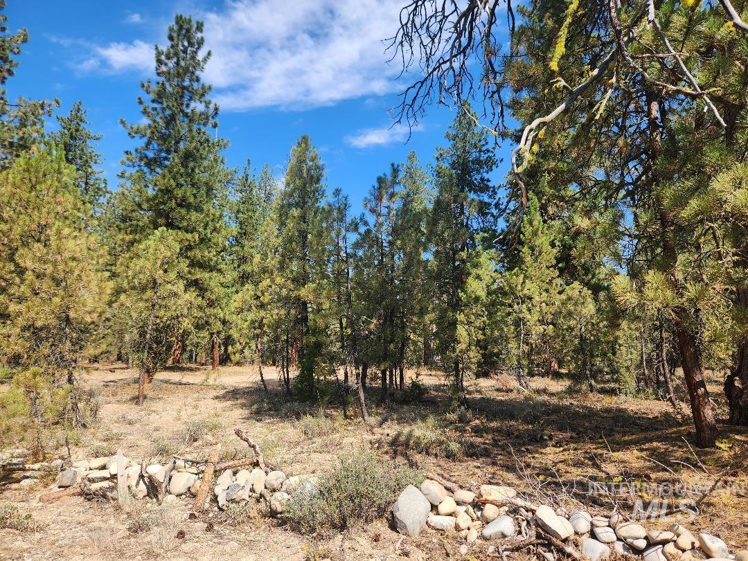 4128 N Diamond Bar Place Property Photo 2