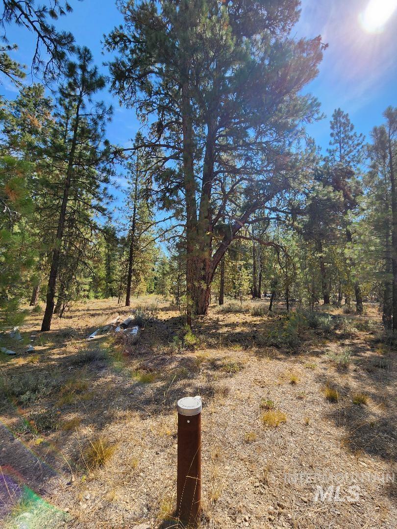 4128 N Diamond Bar Place Property Photo 3