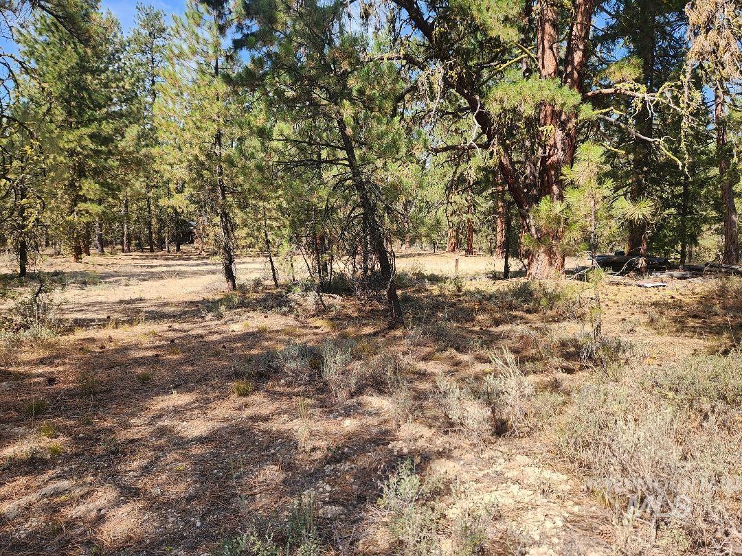 4128 N Diamond Bar Place Property Photo 4