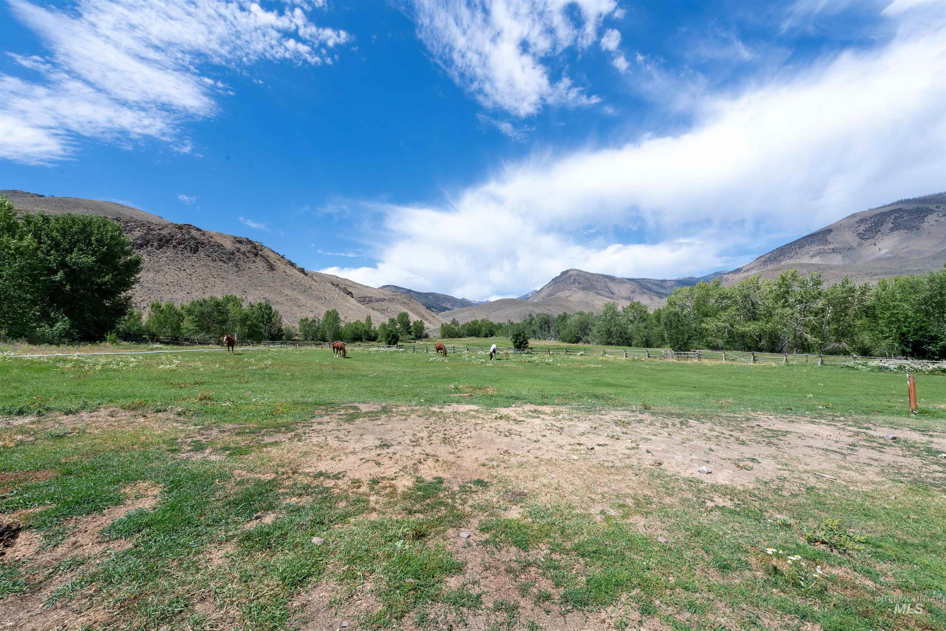 9885 Challis Creek Rd. Property Photo 35