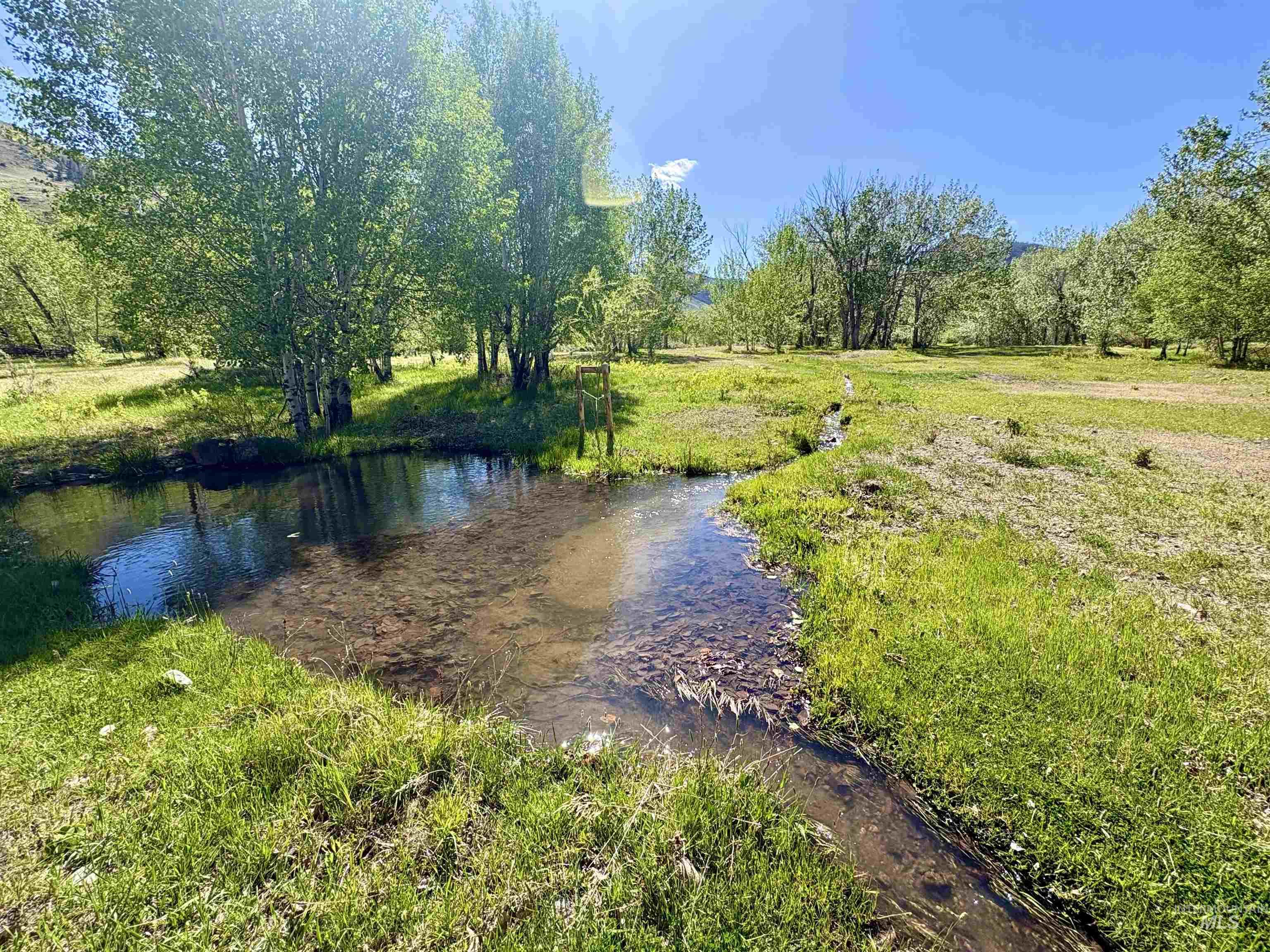 9885 Challis Creek Rd. Property Photo 42