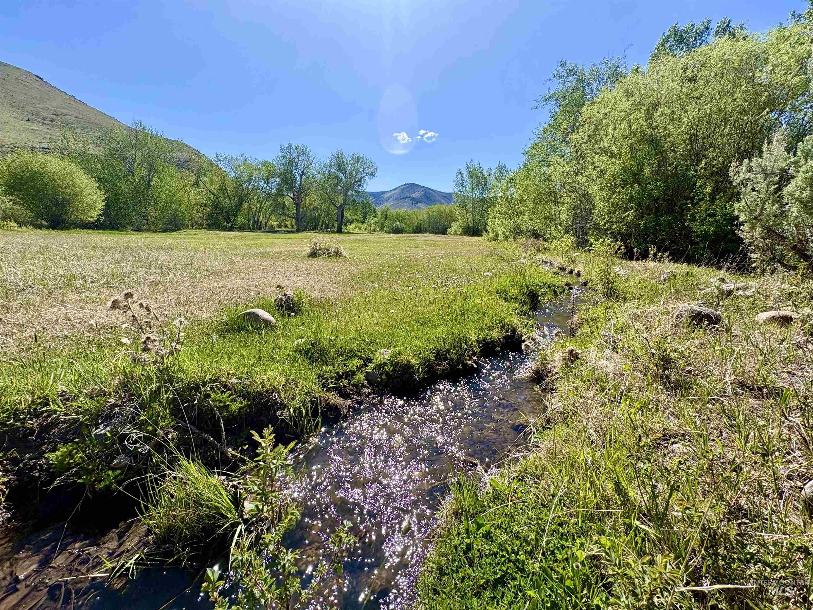 9885 Challis Creek Rd. Property Photo 43