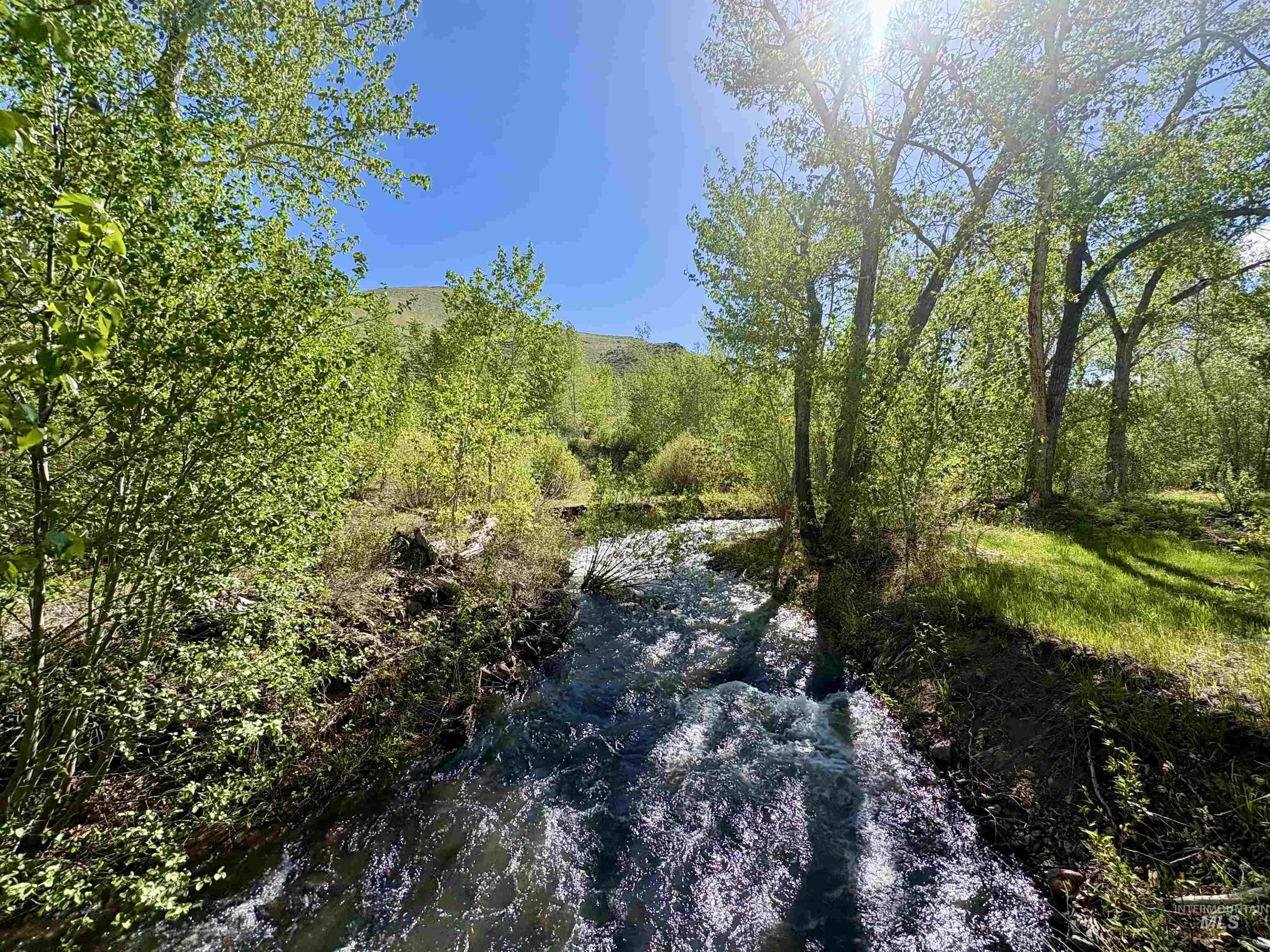 9885 Challis Creek Rd. Property Photo 44