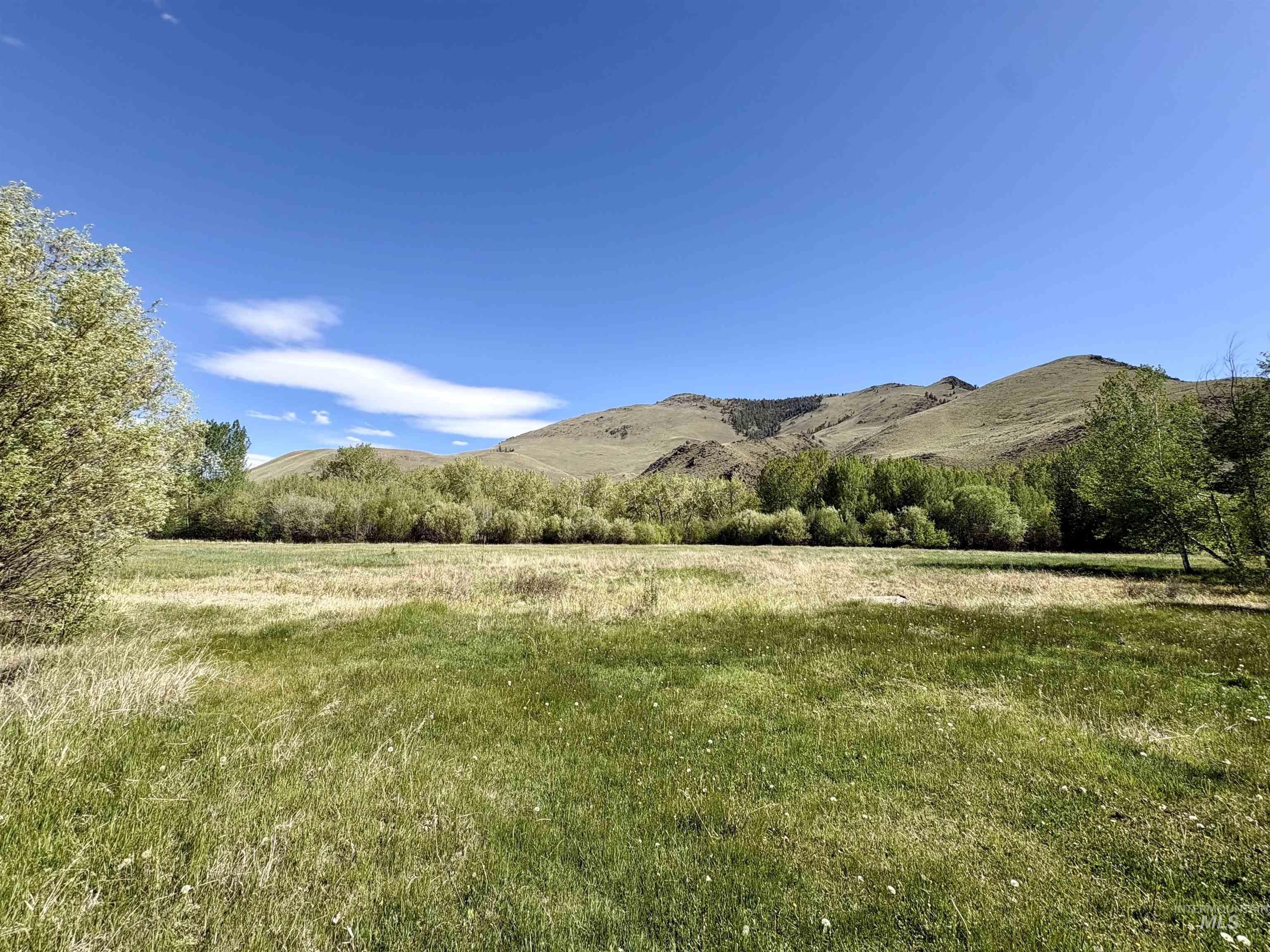 9885 Challis Creek Rd. Property Photo 46