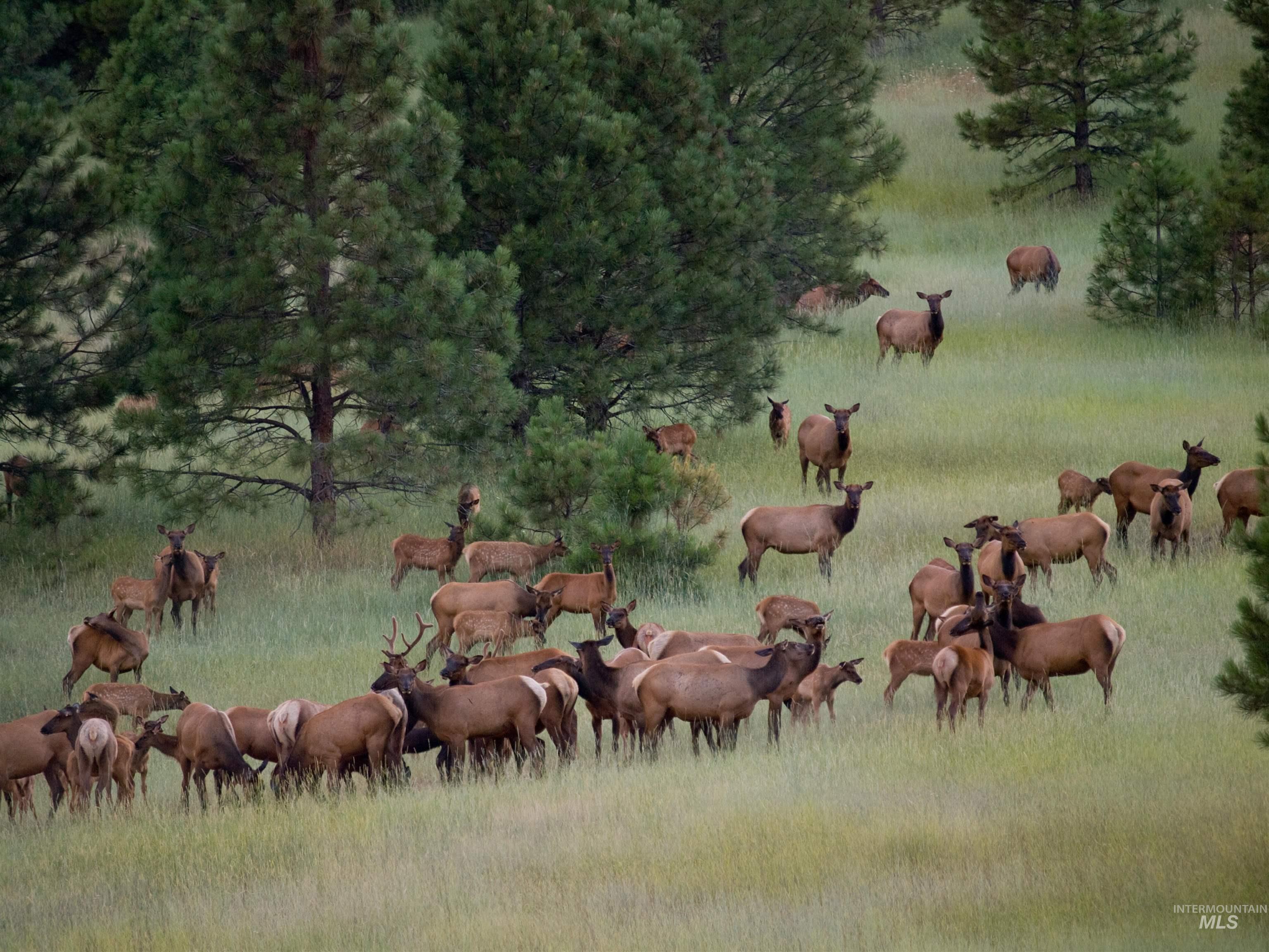 Blk 10 Lot 10 Whitewater Way Property Photo 17