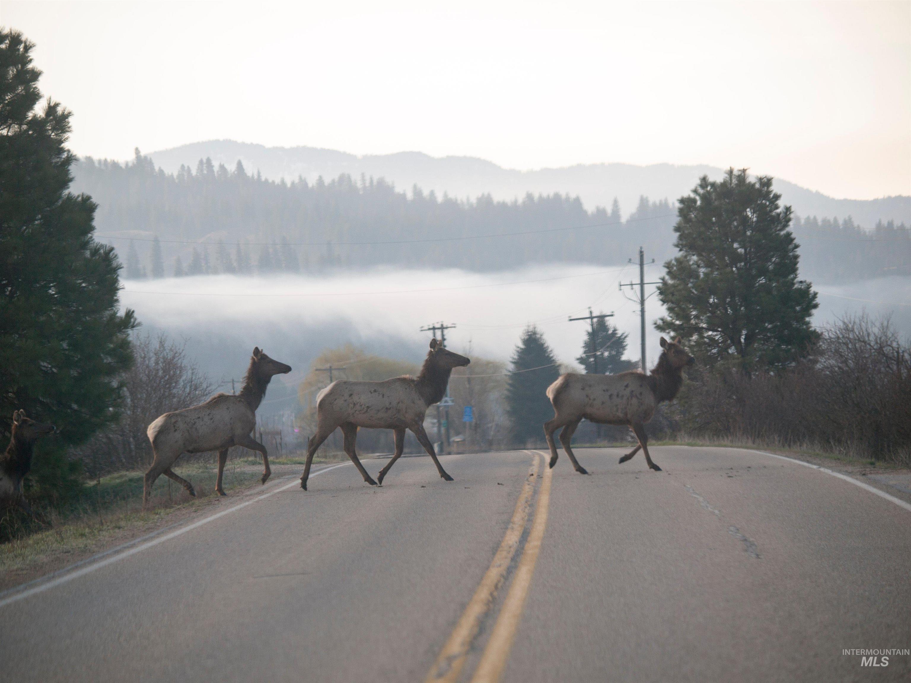 Blk 10 Lot 10 Whitewater Way Property Photo 18