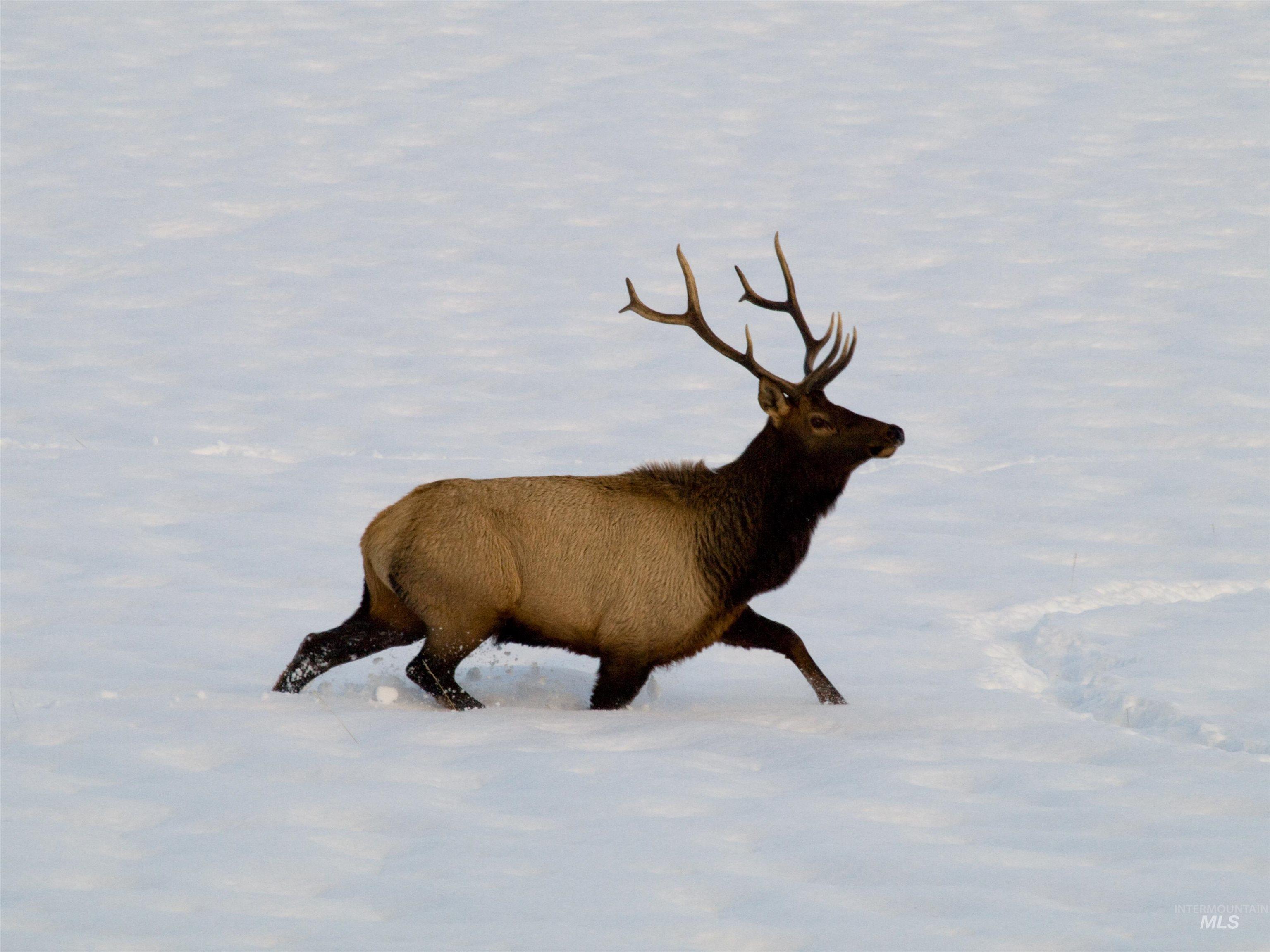 Blk 10 Lot 10 Whitewater Way Property Photo 19