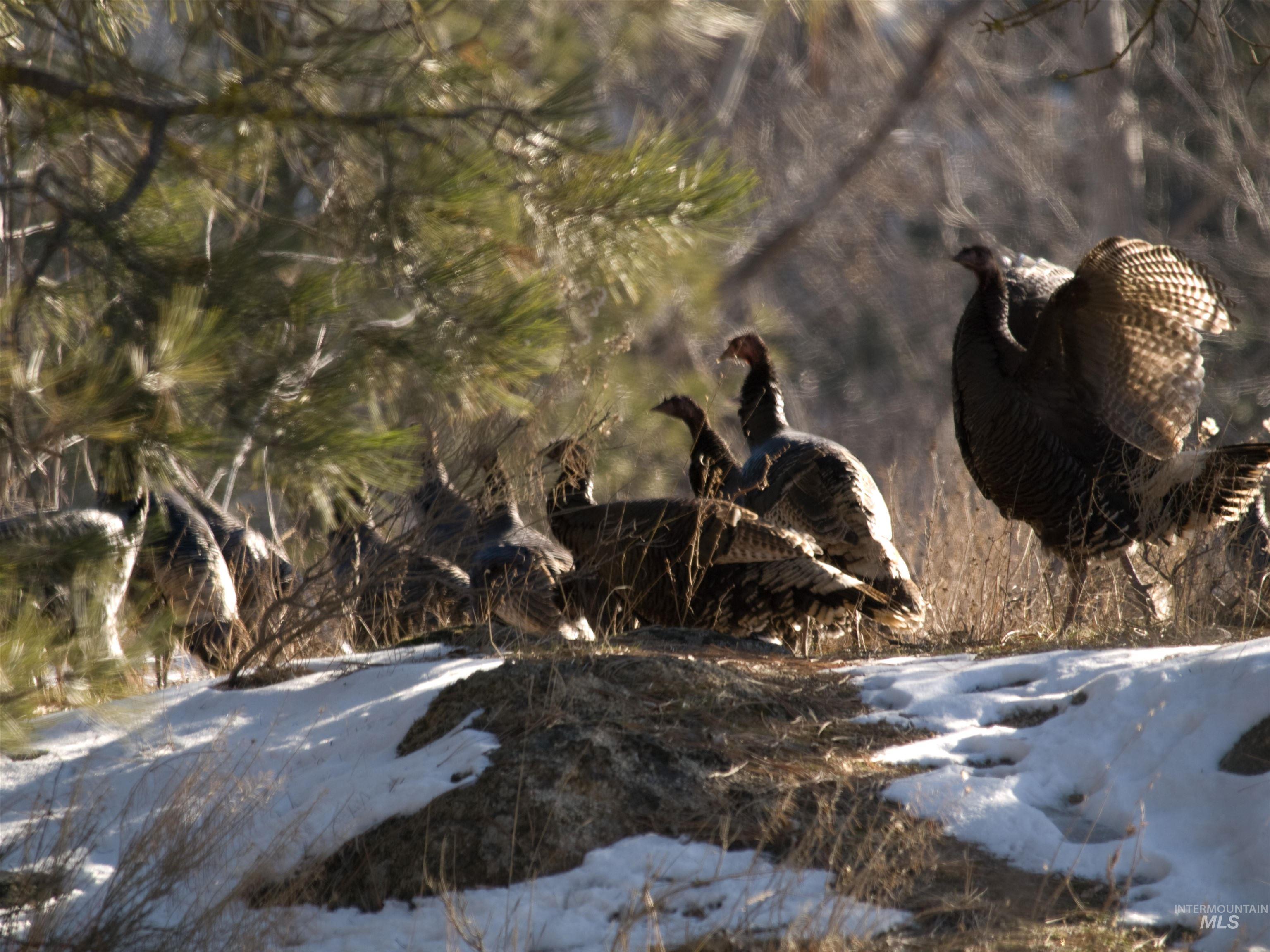 Blk 10 Lot 10 Whitewater Way Property Photo 21