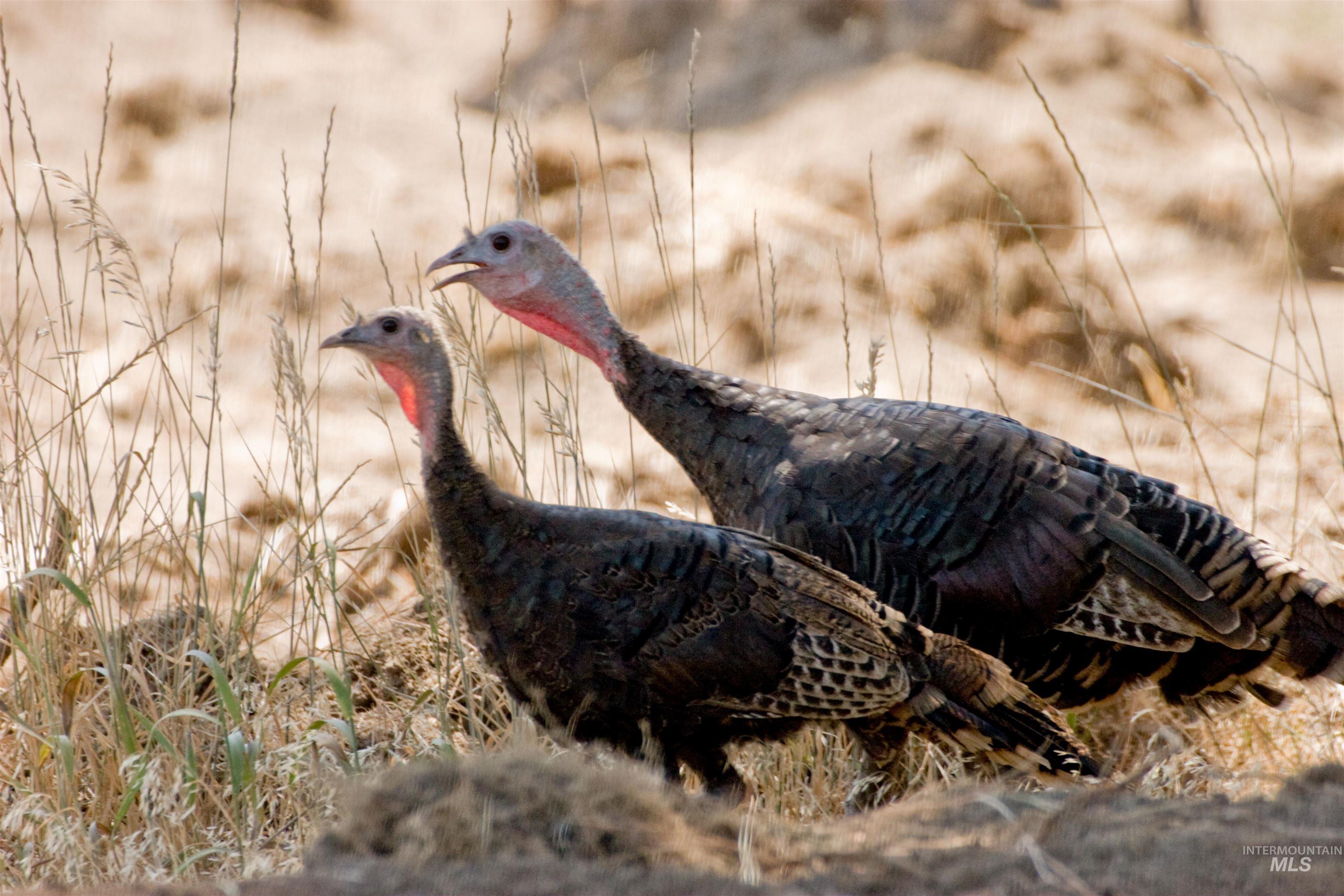 Blk 10 Lot 10 Whitewater Way Property Photo 22