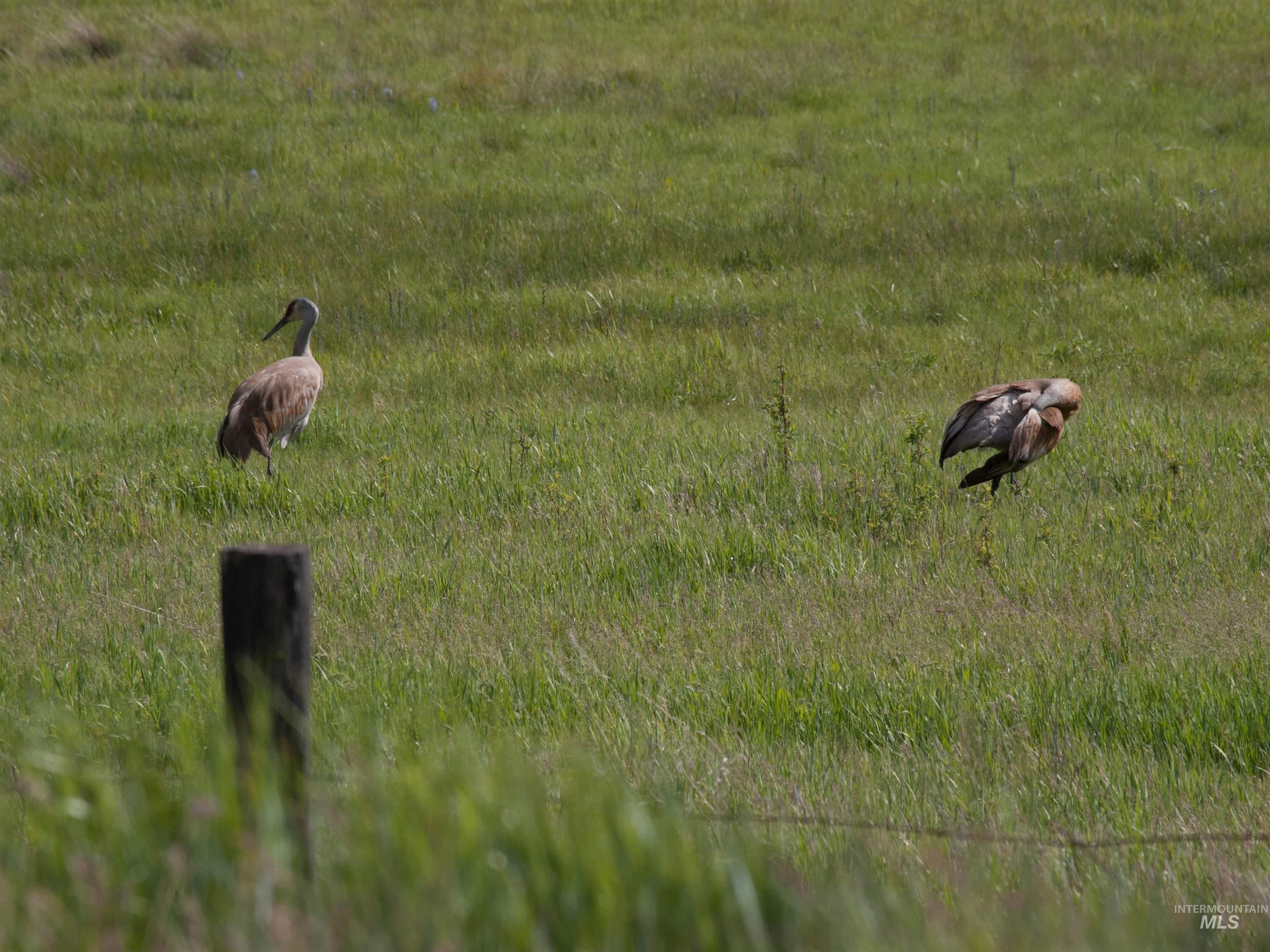 Blk 10 Lot 10 Whitewater Way Property Photo 23