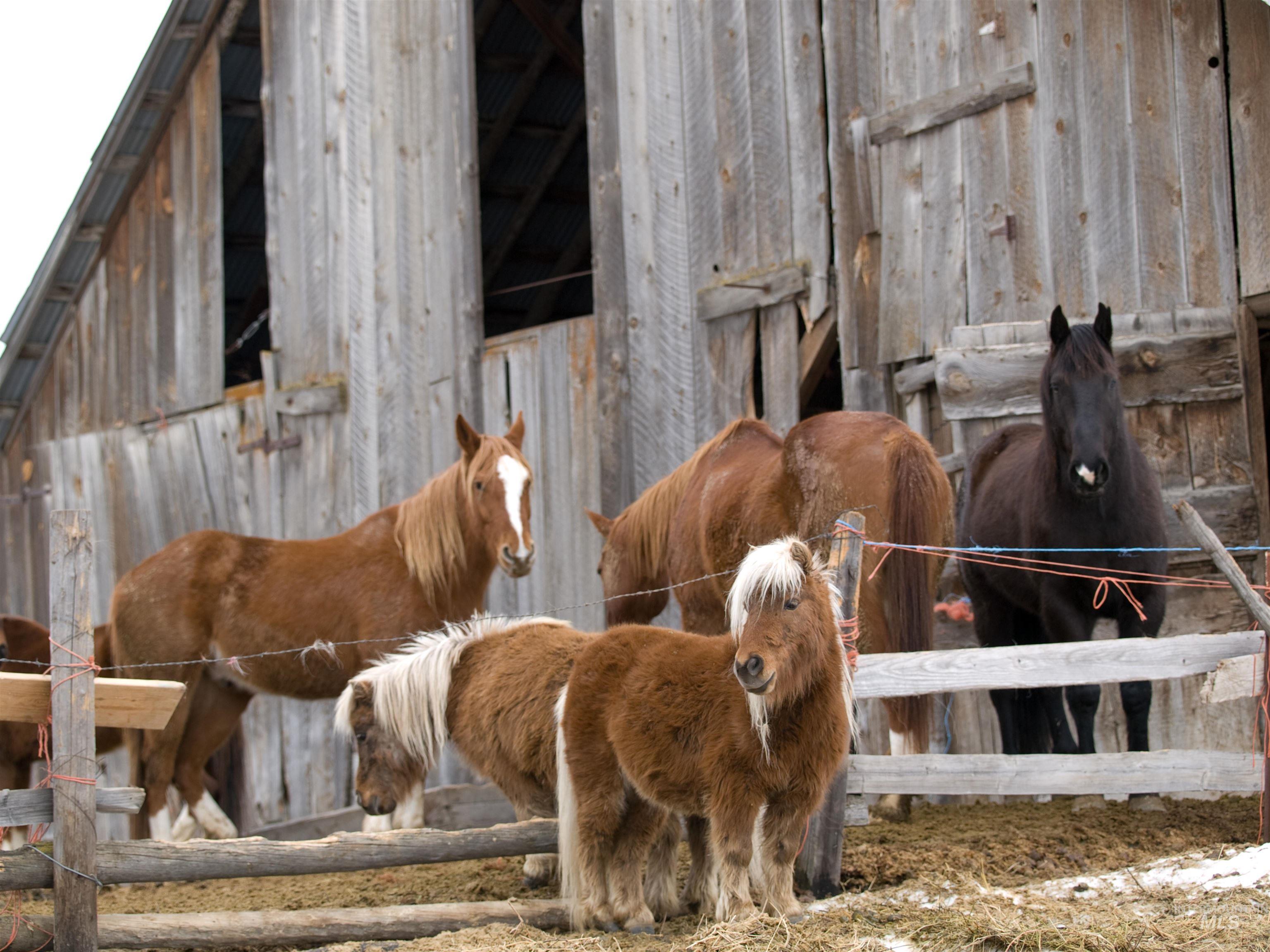 Blk 10 Lot 10 Whitewater Way Property Photo 24