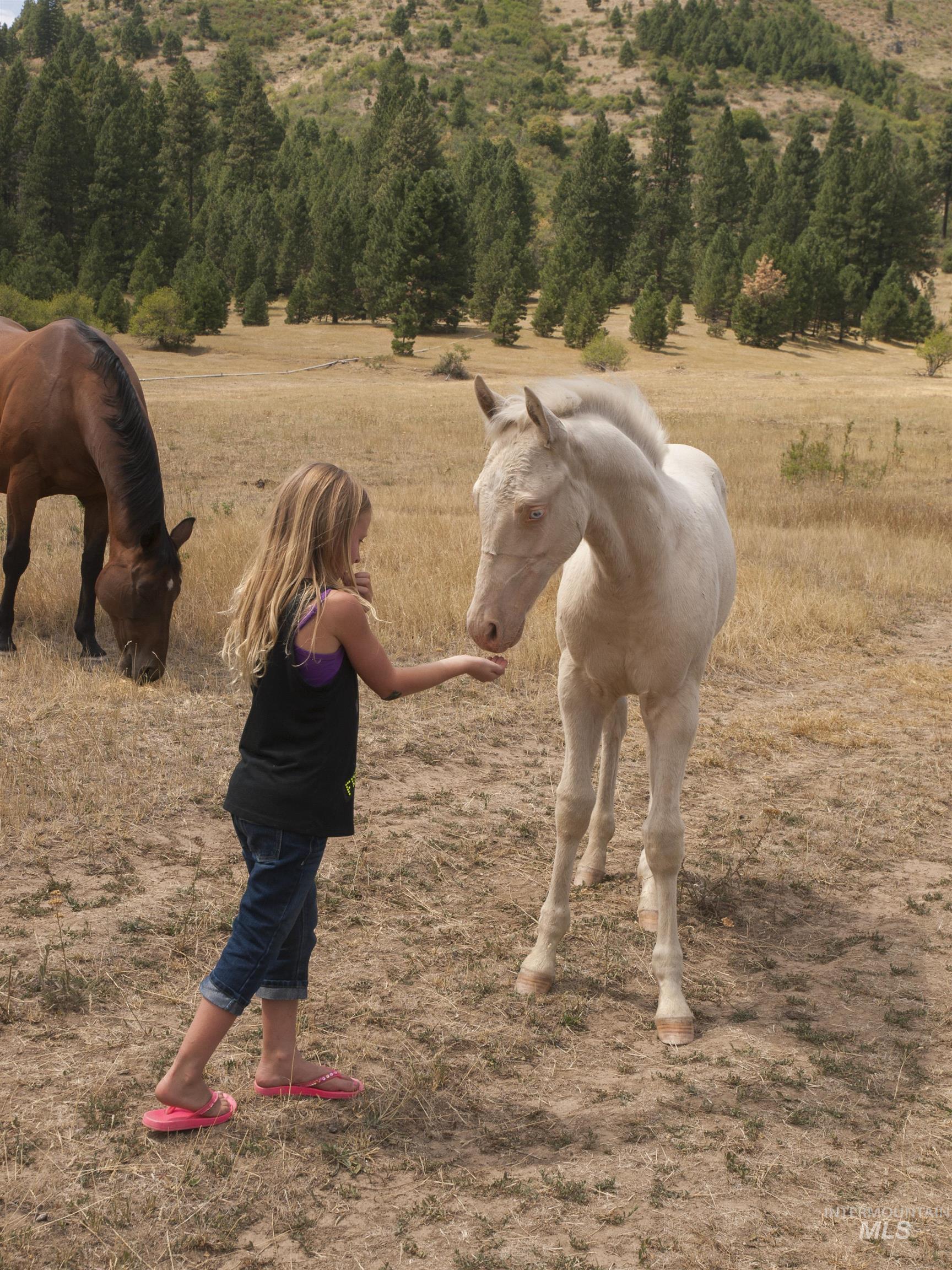 Blk 10 Lot 10 Whitewater Way Property Photo 25