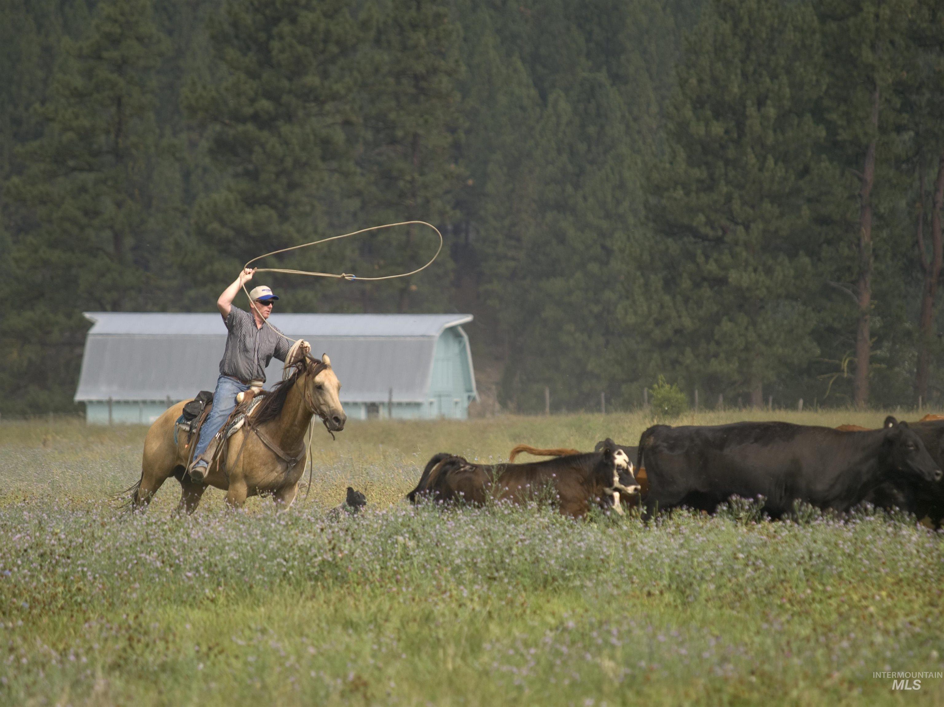 Blk 10 Lot 10 Whitewater Way Property Photo 26