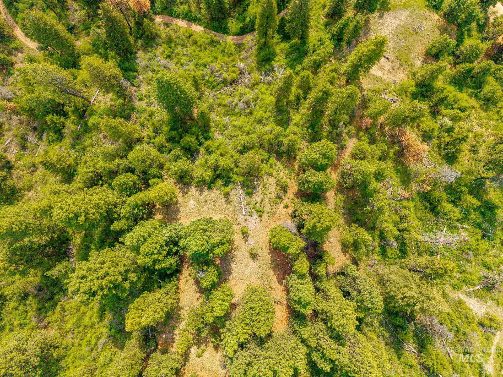 Tbd Ridgeview Pl-lot 77 Property Photo 5