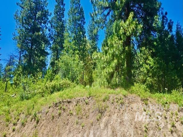 Tbd Ridgeview Pl-lot 77 Property Photo 19
